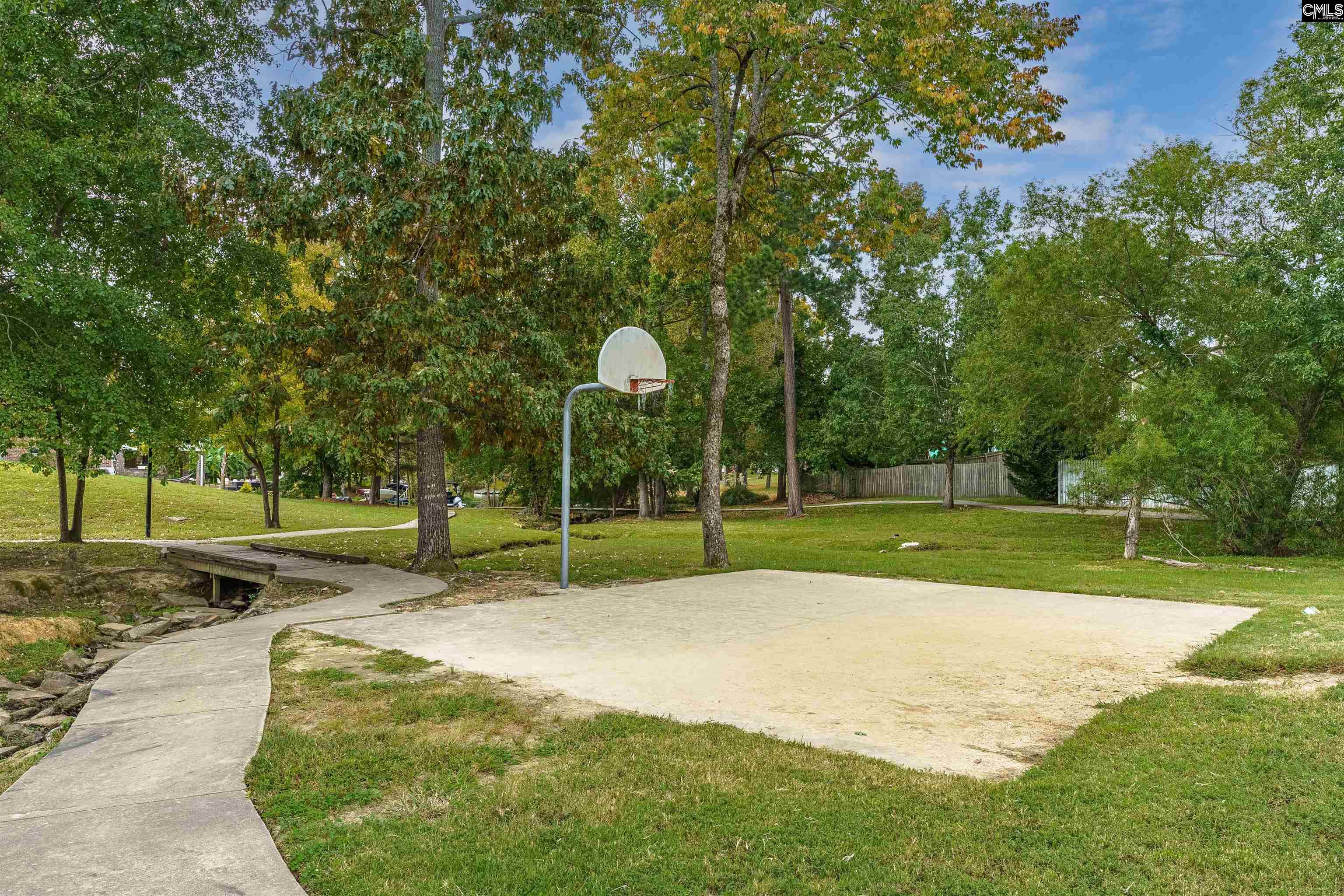 219 Walkbridge Way, Chapin, South Carolina image 44