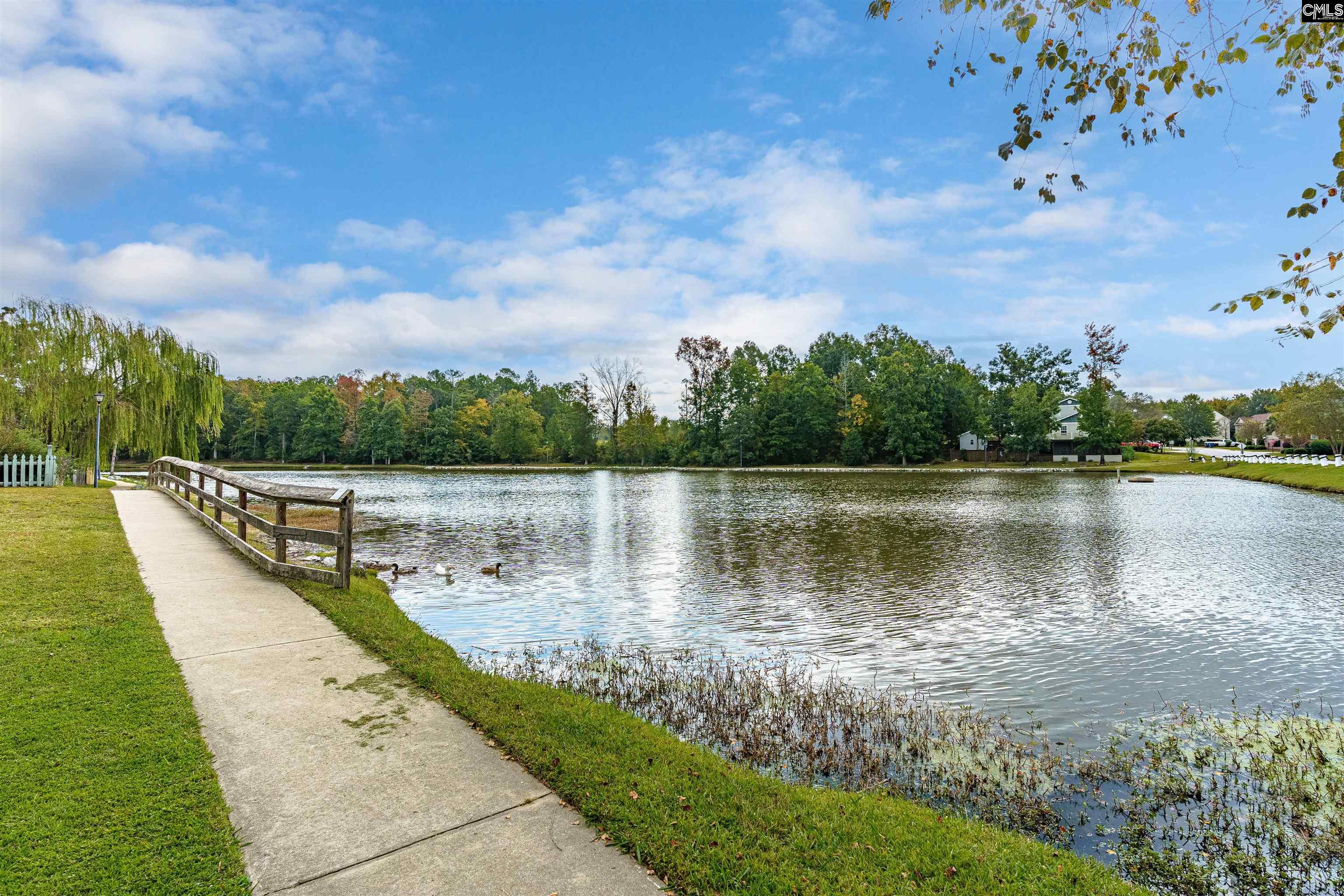 219 Walkbridge Way, Chapin, South Carolina image 46