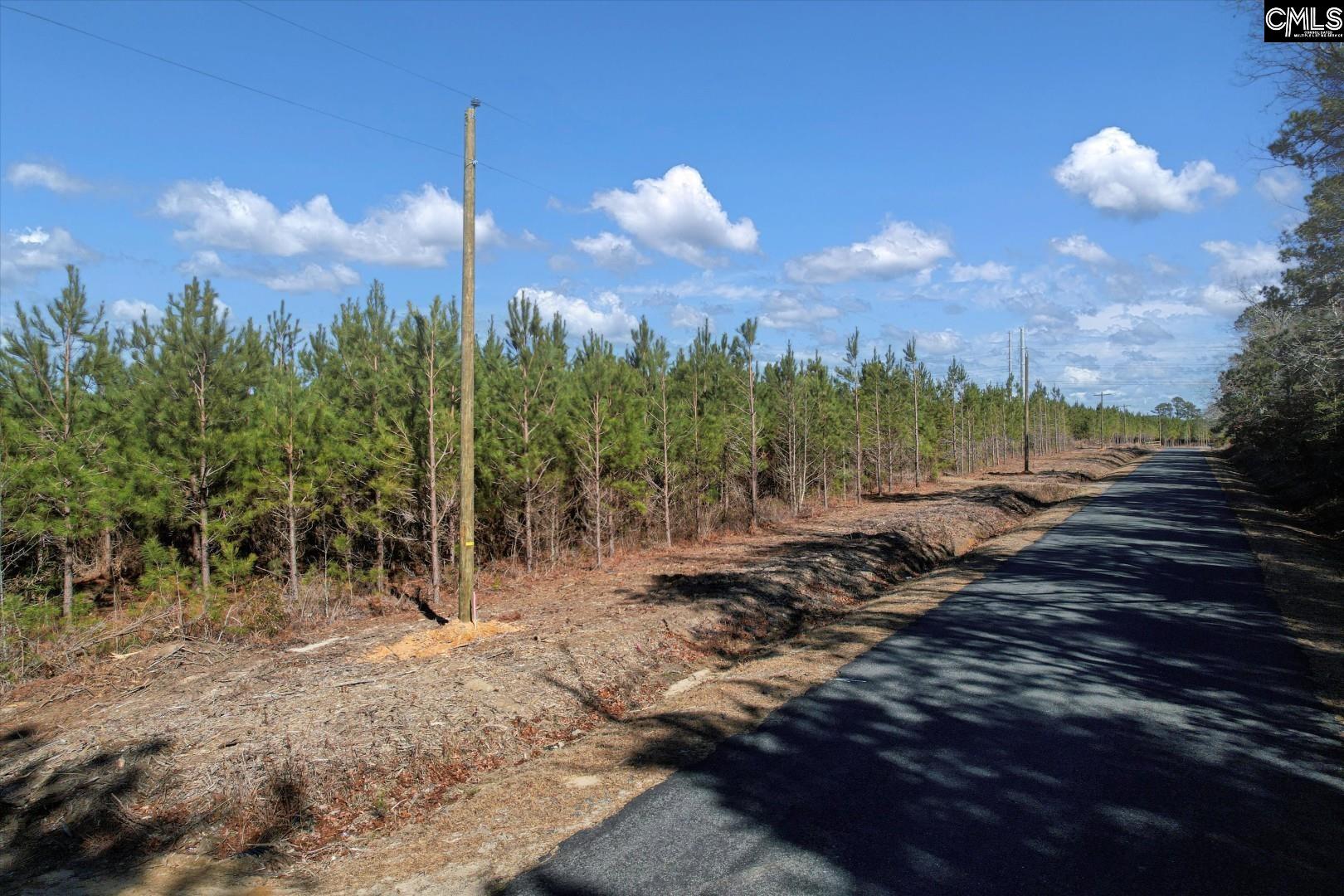 1203/A Horses Neck Road, Swansea, South Carolina image 2