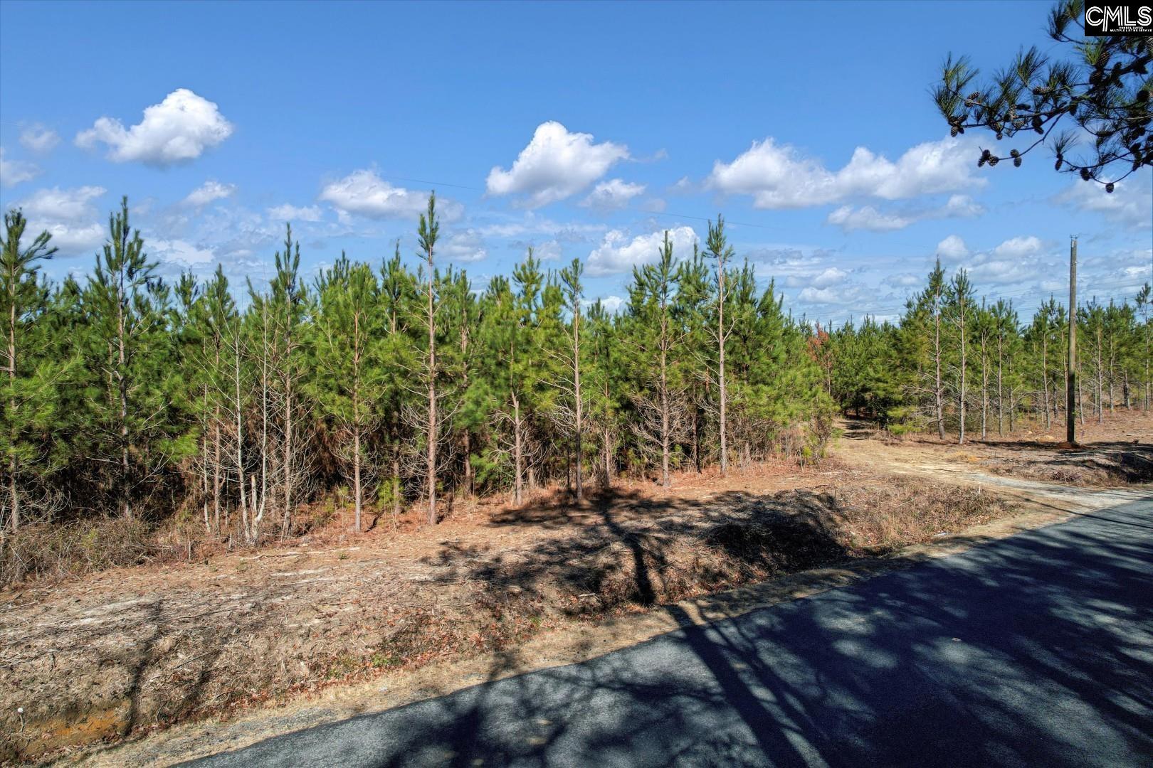 1203/A Horses Neck Road, Swansea, South Carolina image 12