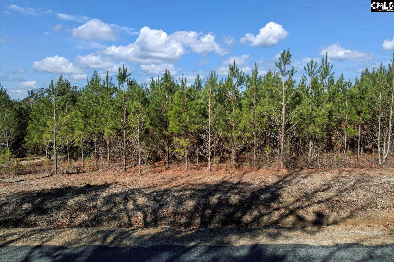 1203/A Horses Neck Road, Swansea, South Carolina image 13