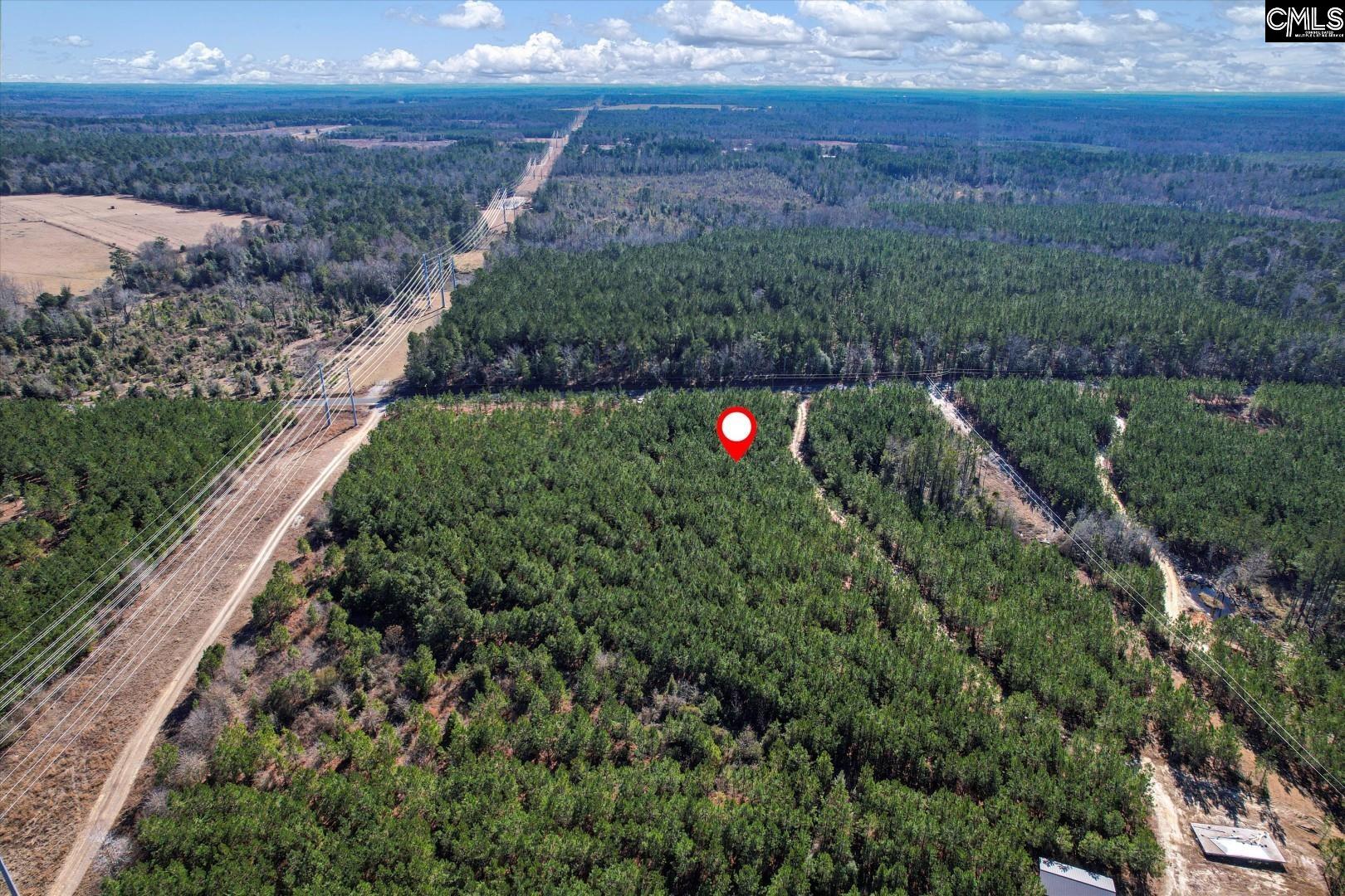 1203/A Horses Neck Road, Swansea, South Carolina image 7
