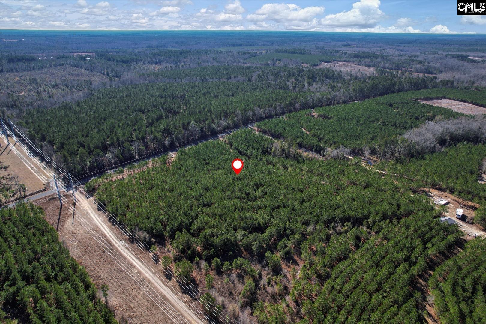 1203/A Horses Neck Road, Swansea, South Carolina image 8