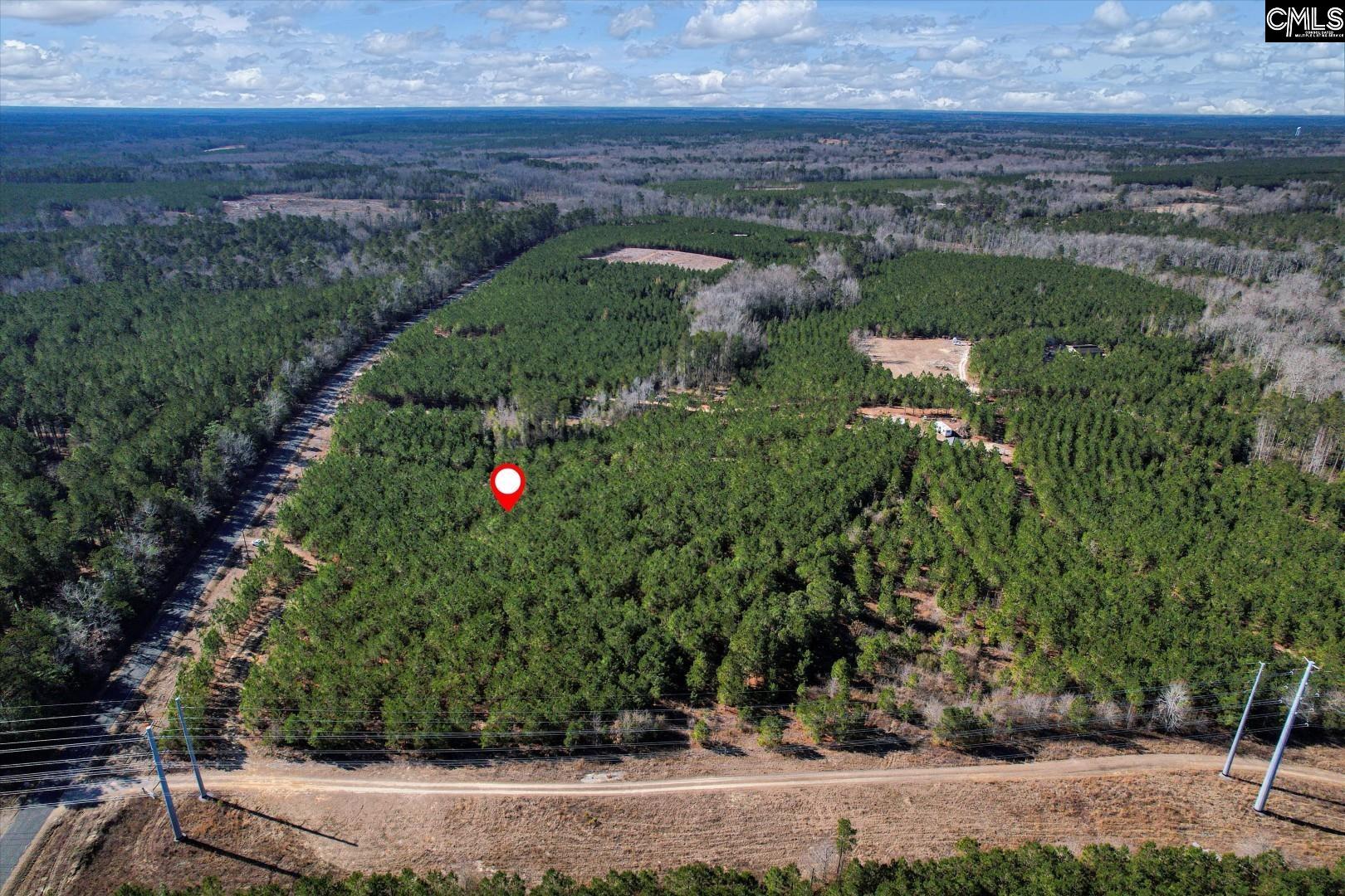 1203/A Horses Neck Road, Swansea, South Carolina image 9