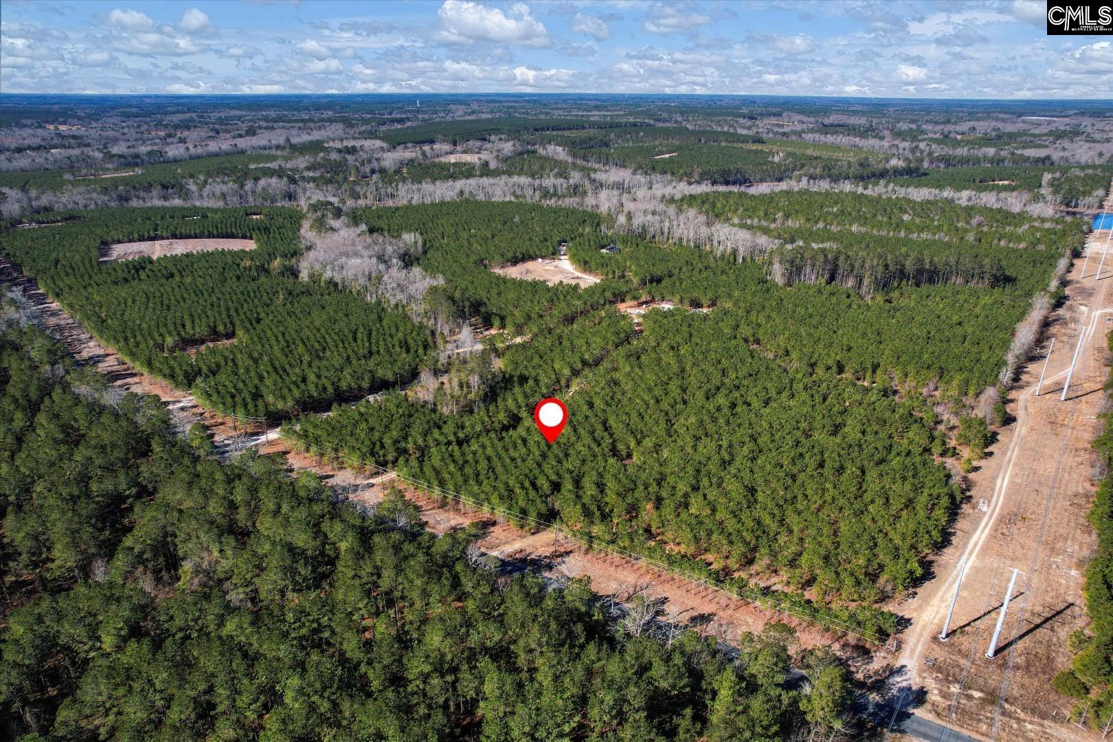 1203/A Horses Neck Road, Swansea, South Carolina image 10