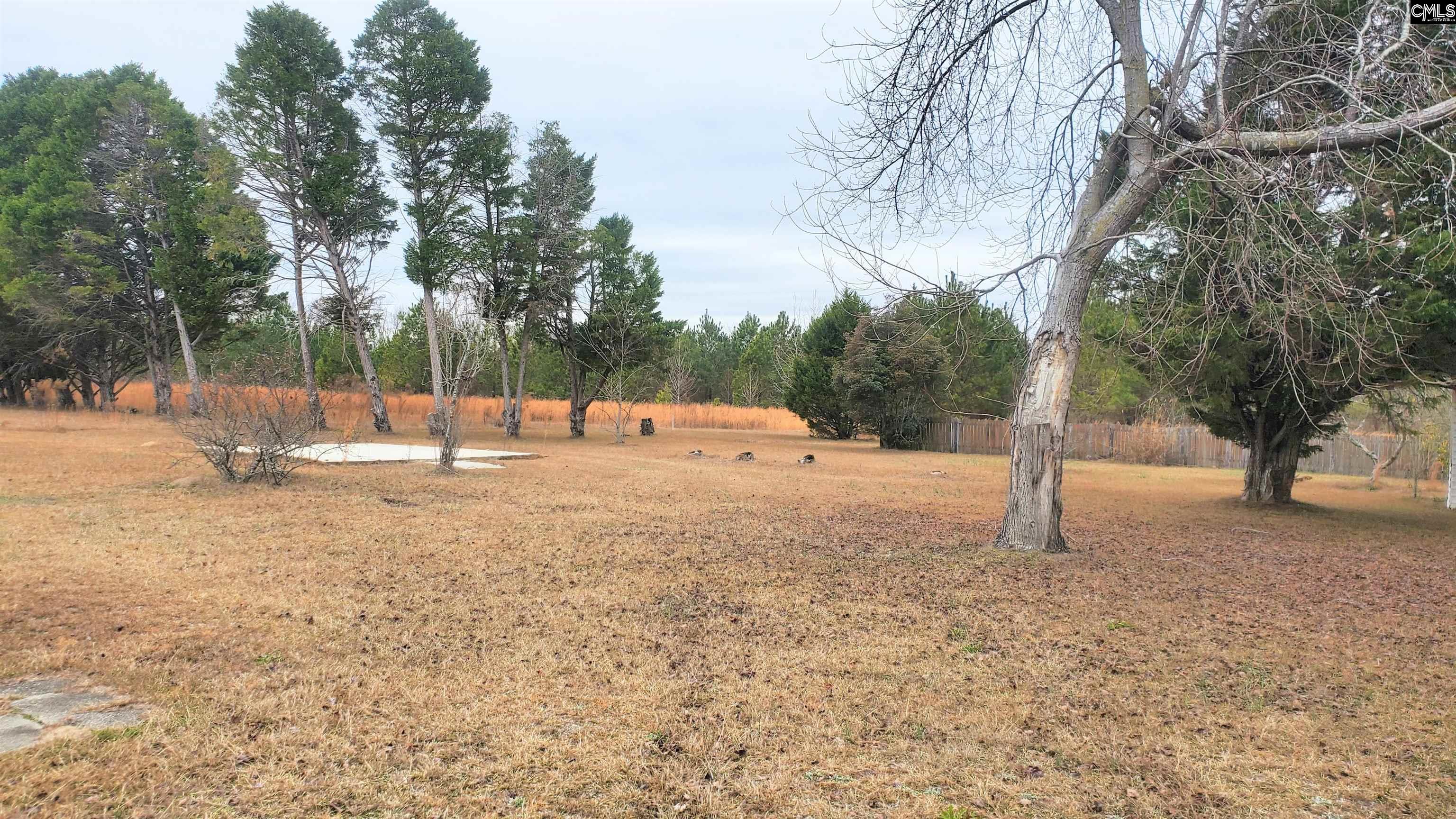 1107 Ardis Road, Pinewood, South Carolina image 34
