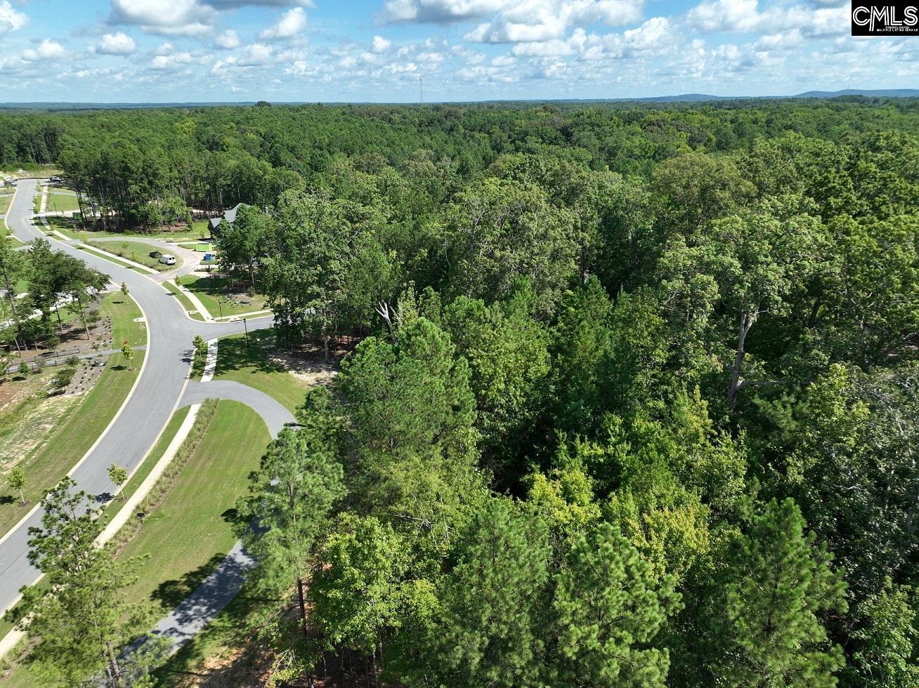 Timber Trail Lane, Prosperity, South Carolina image 11