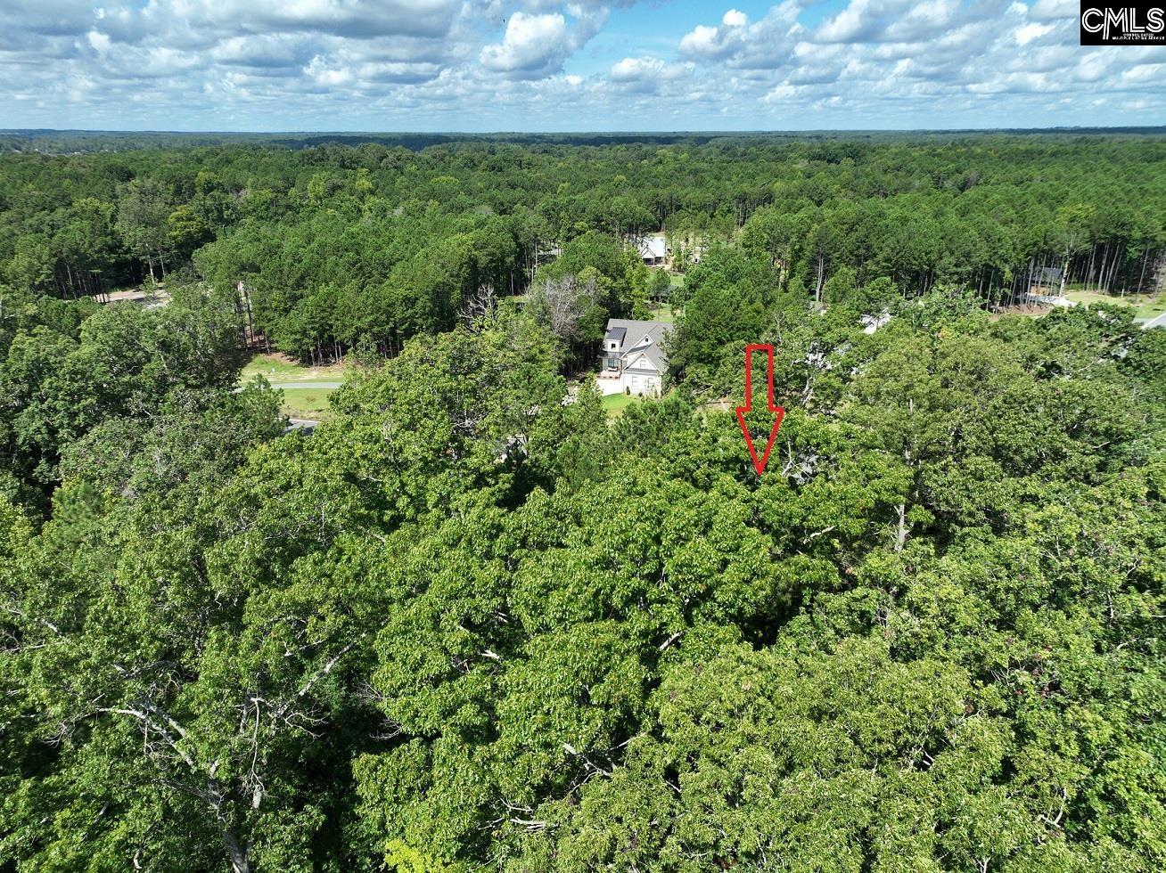 Lot 72 Timber Trail Lane Prosperity, SC 29127