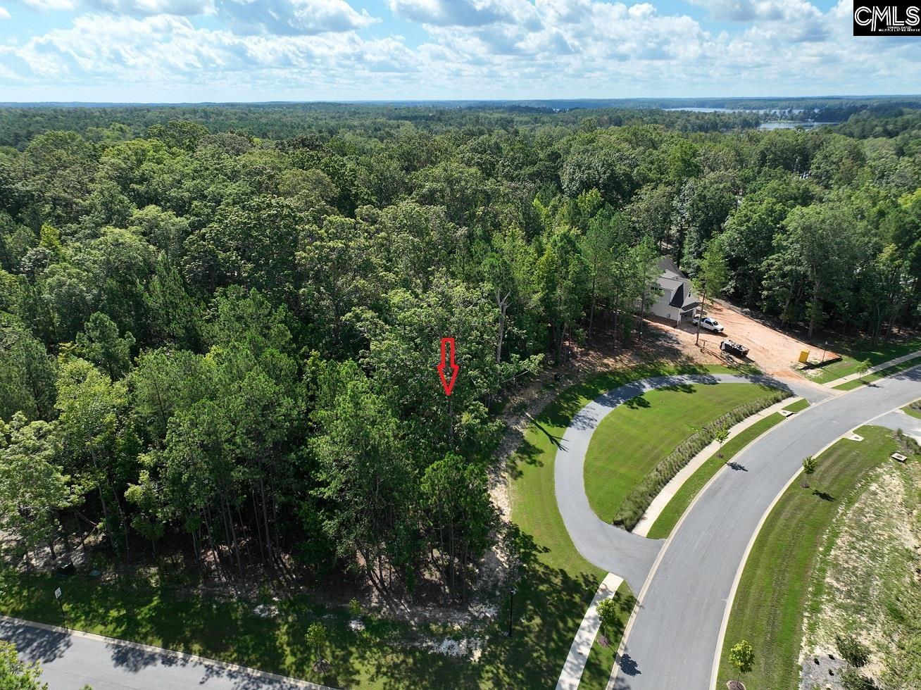 Lot 72 Timber Trail Lane Prosperity, SC 29127