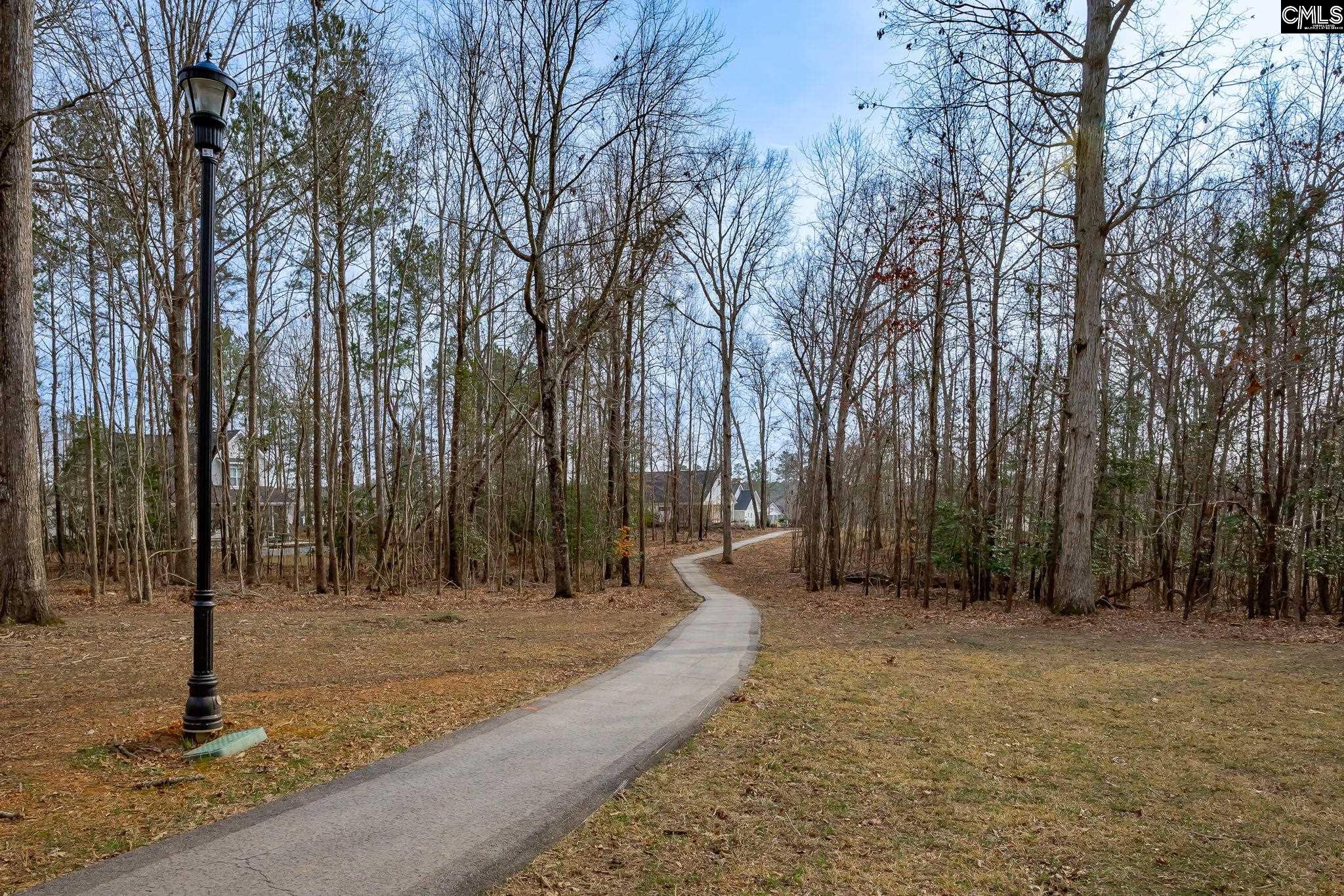 Lot 72 Timber Trail Lane Prosperity, SC 29127