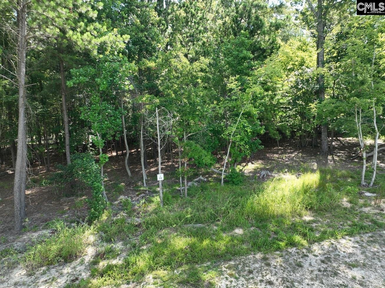 Lot 72 Timber Trail Lane Prosperity, SC 29127