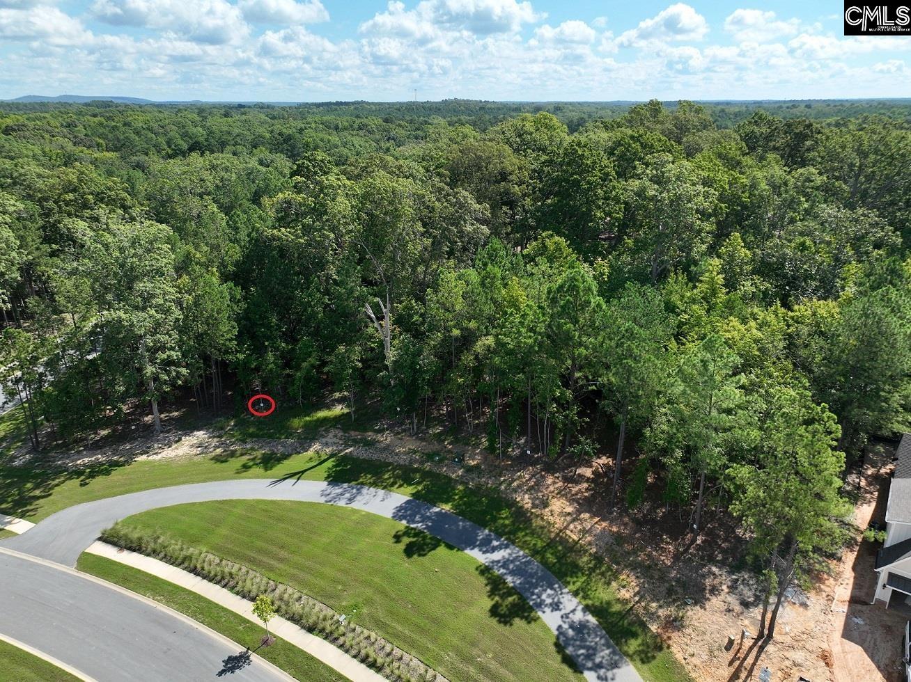Lot 72 Timber Trail Lane Prosperity, SC 29127