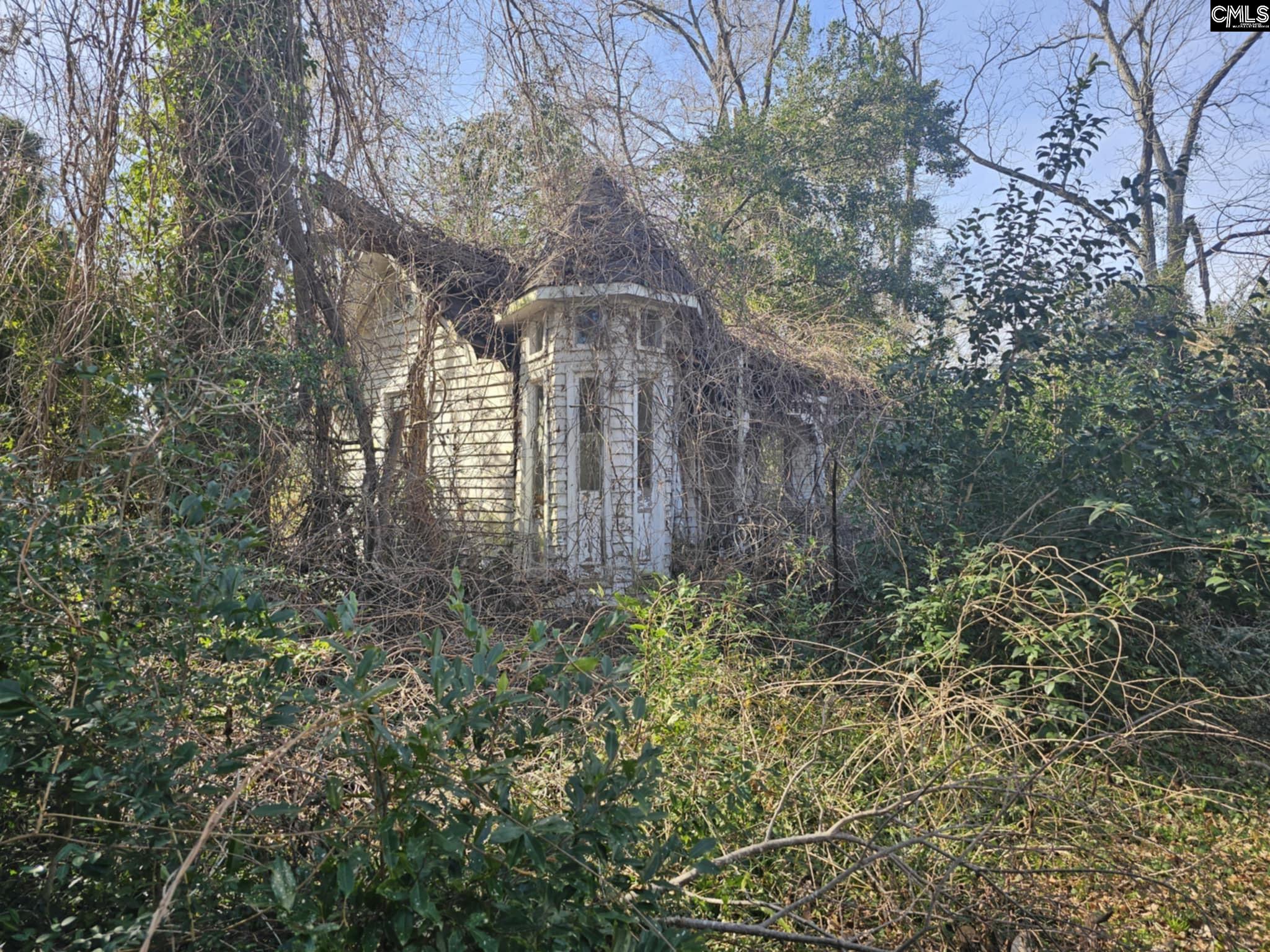 129 N Peachtree Street, Batesburg, South Carolina image 39