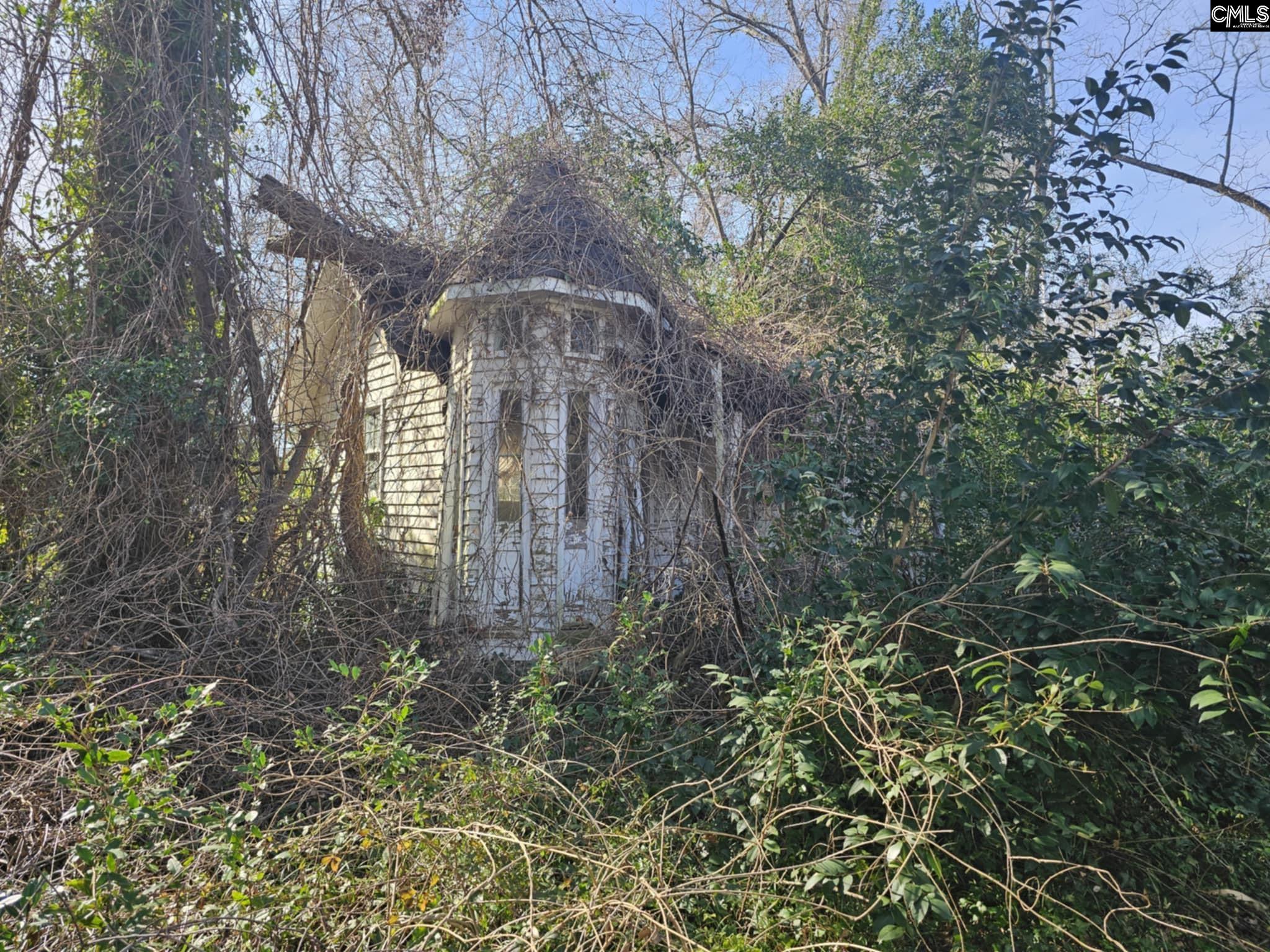 129 N Peachtree Street, Batesburg, South Carolina image 43