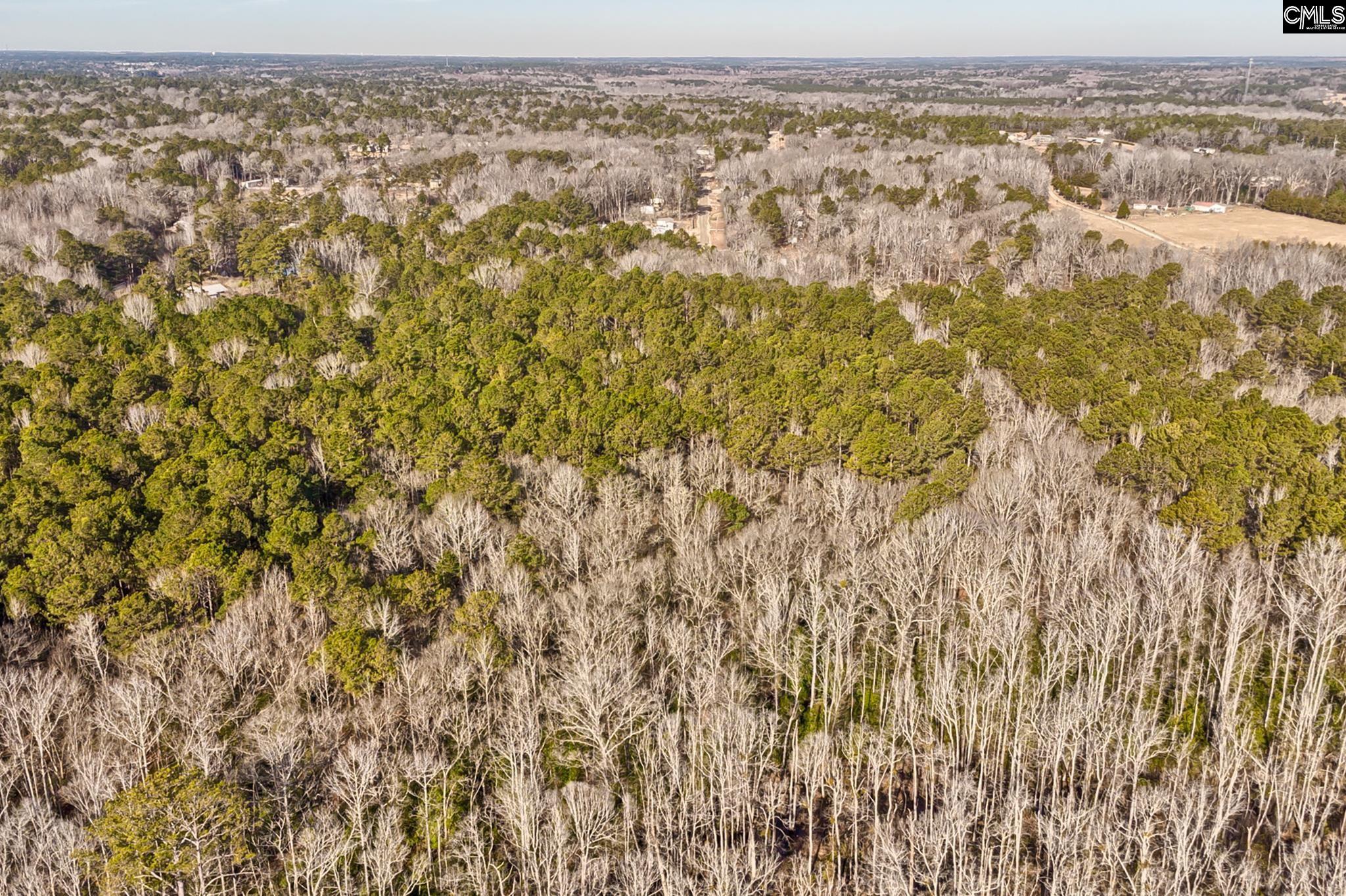 50 Thorn Way, Elgin, South Carolina image 1