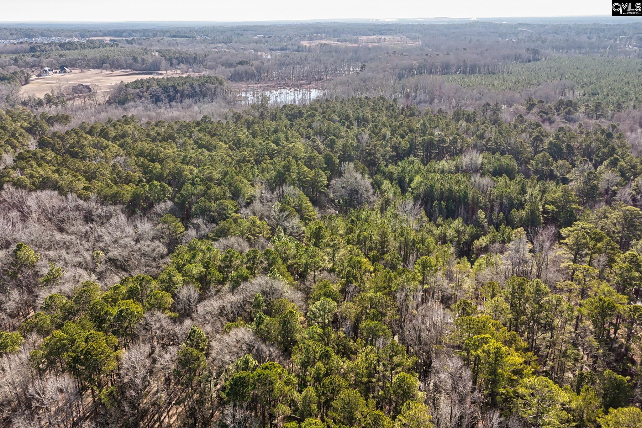 50 Thorn Way, Elgin, South Carolina image 2