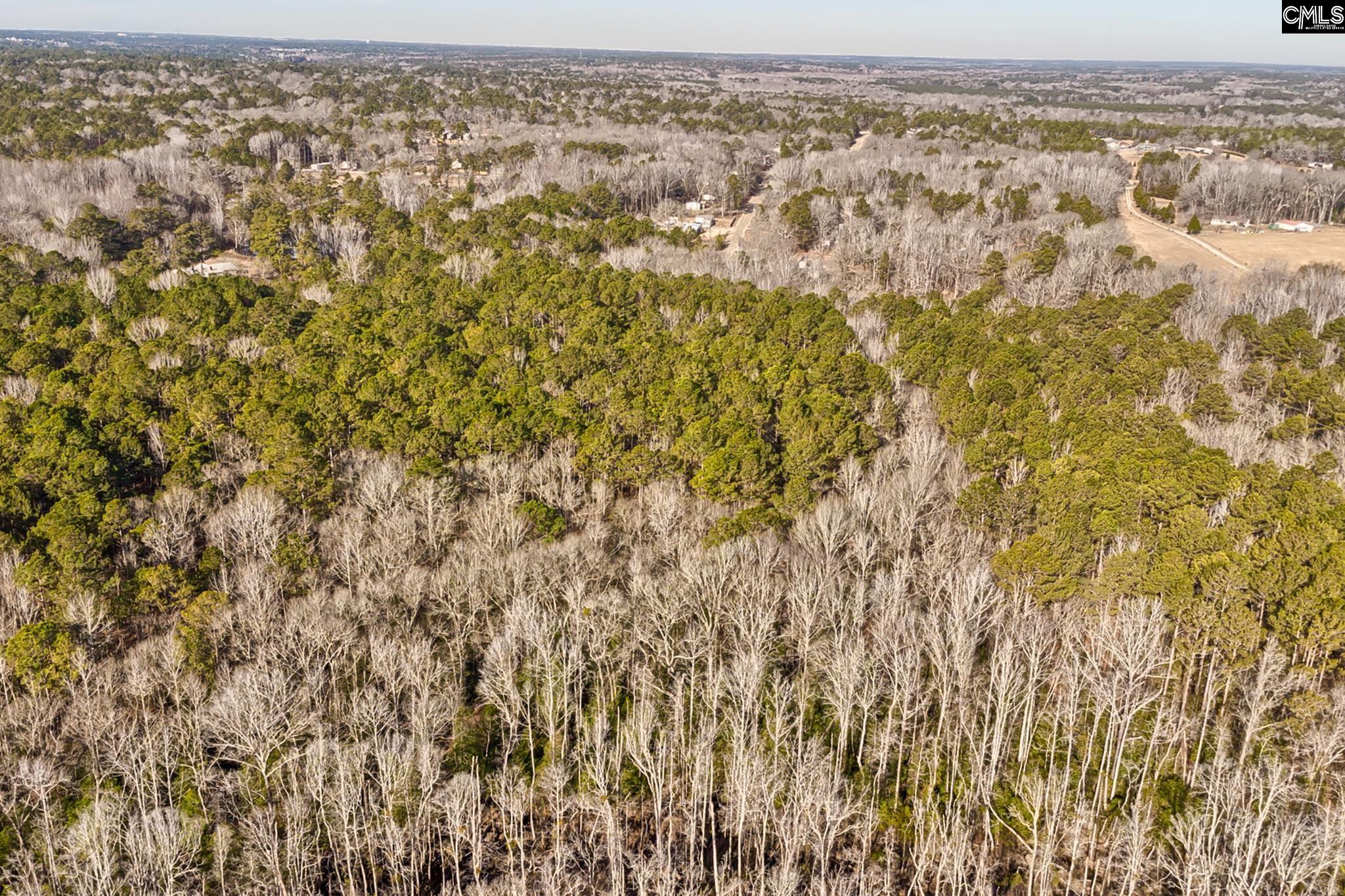 50 Thorn Way, Elgin, South Carolina image 3