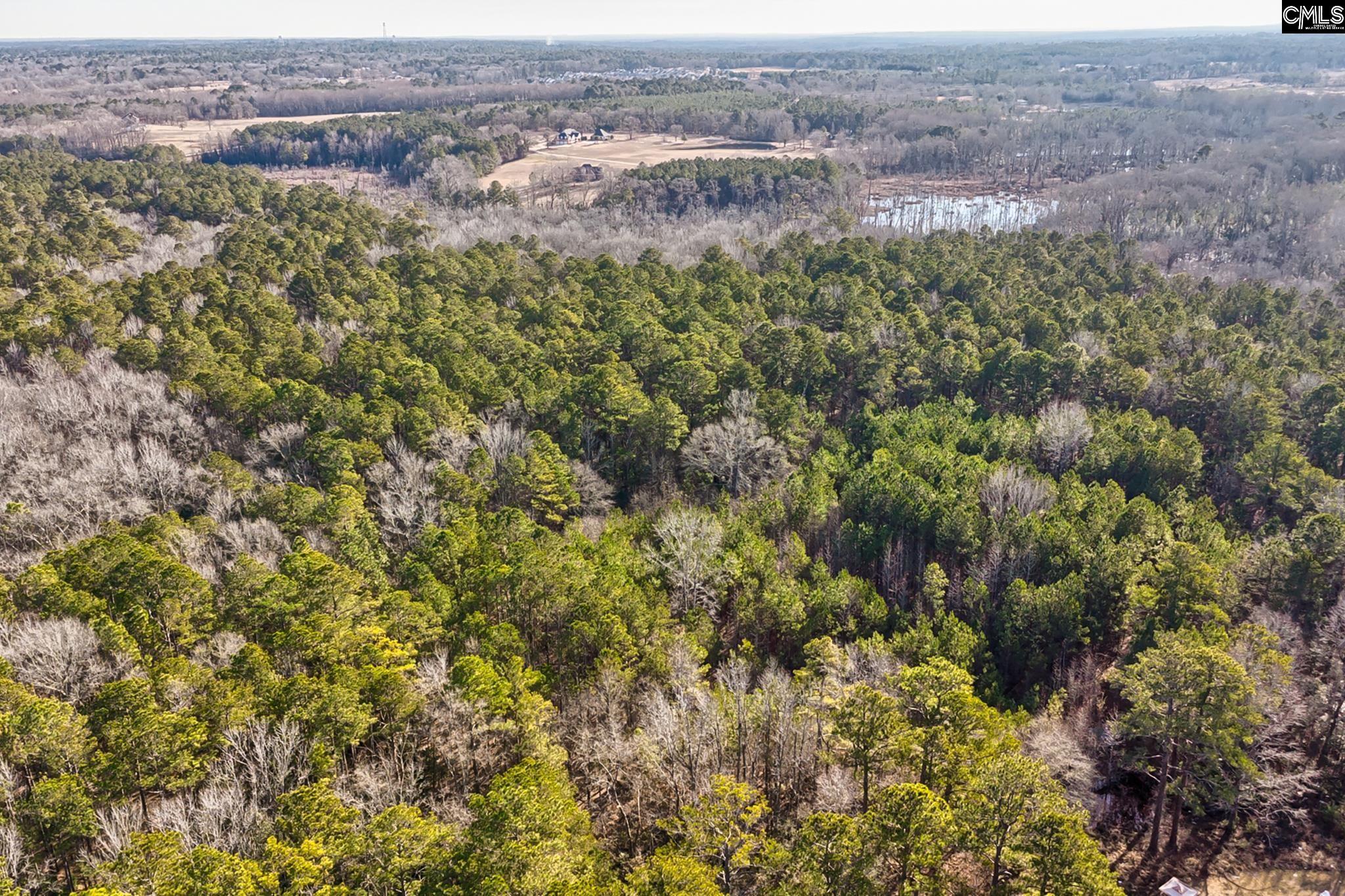 50 Thorn Way, Elgin, South Carolina image 4