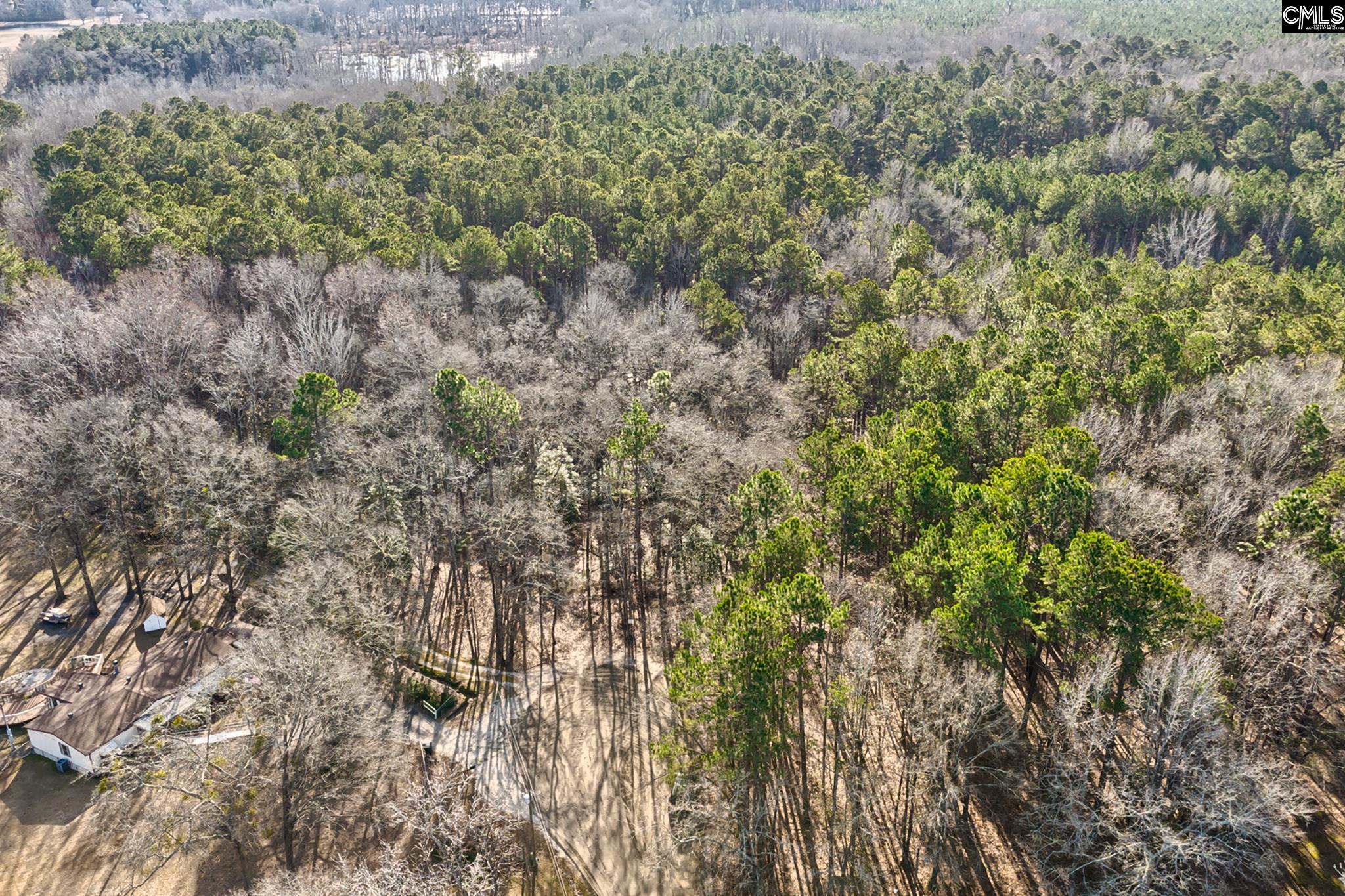 50 Thorn Way, Elgin, South Carolina image 5
