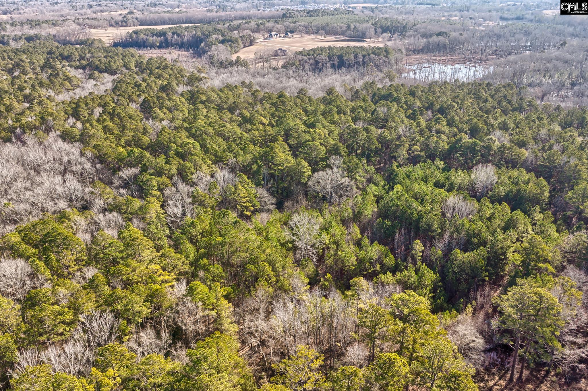 50 Thorn Way, Elgin, South Carolina image 6