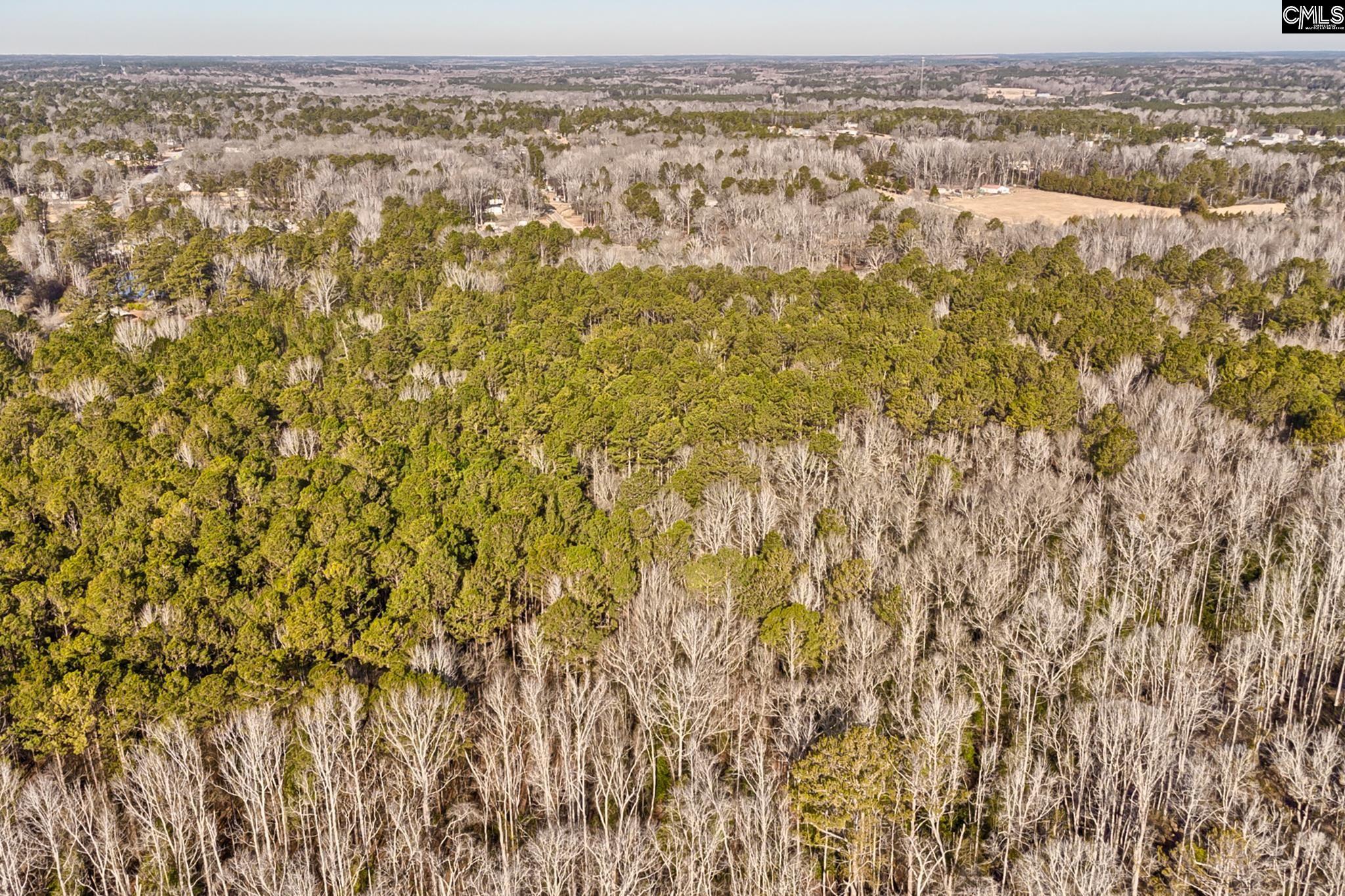 50 Thorn Way, Elgin, South Carolina image 7
