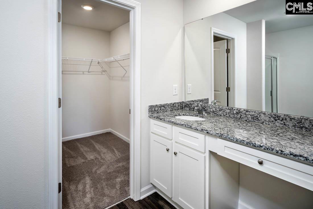 A walk-in shower and a large vanity are showcased in the master bath.