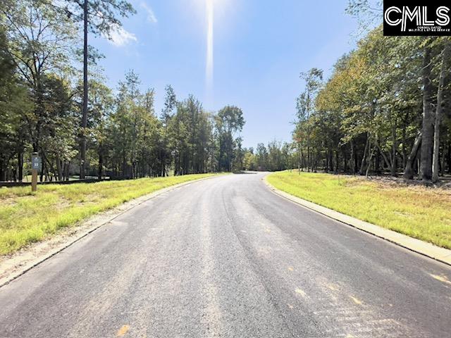 1029 Refuge Place, Chapin, South Carolina image 2