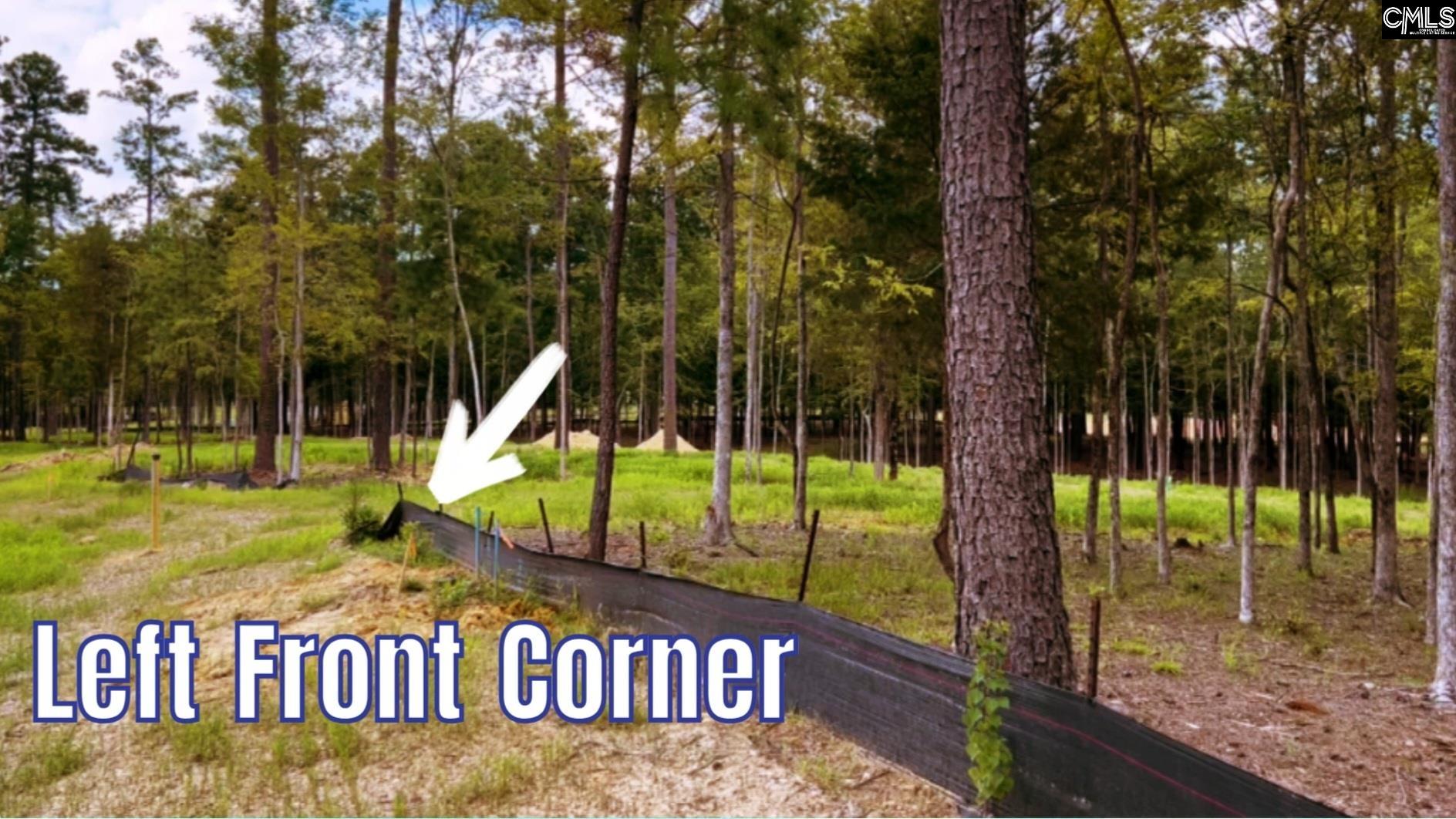 1029 Refuge Place, Chapin, South Carolina image 12