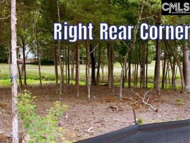 1029 Refuge Place, Chapin, South Carolina image 14