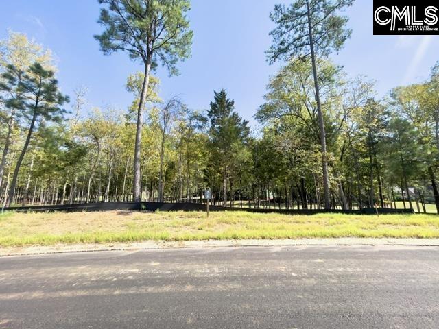 1029 Refuge Place UNIT #23 Chapin, SC 29036