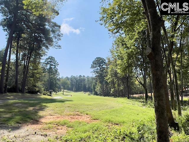 1029 Refuge Place, Chapin, South Carolina image 4