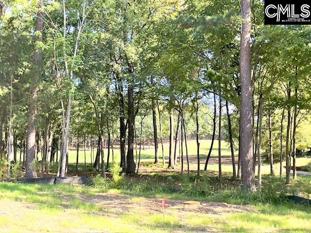 1029 Refuge Place UNIT #23 Chapin, SC 29036