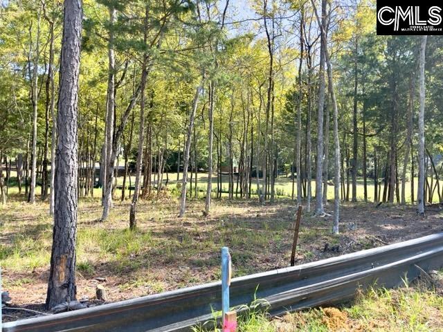 1029 Refuge Place, Chapin, South Carolina image 7