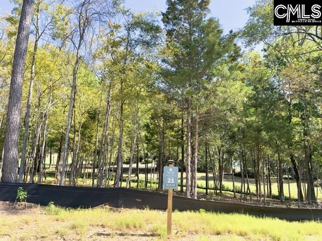 1029 Refuge Place, Chapin, South Carolina image 8