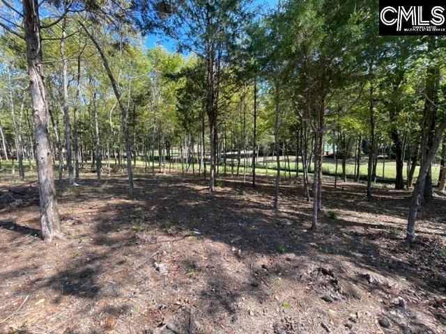 1029 Refuge Place, Chapin, South Carolina image 9