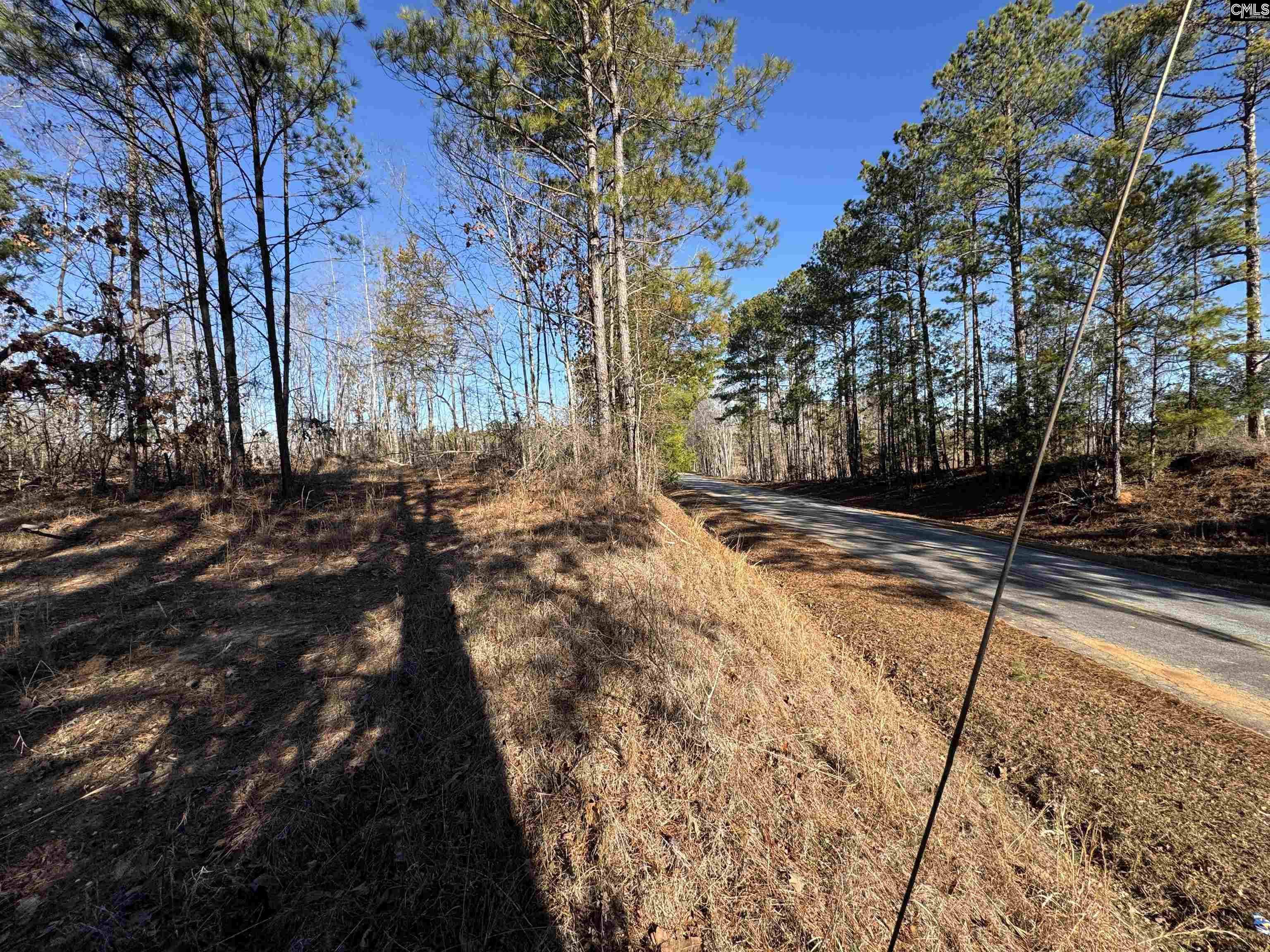 TBD Durham Place Road Winnsboro, SC 29180