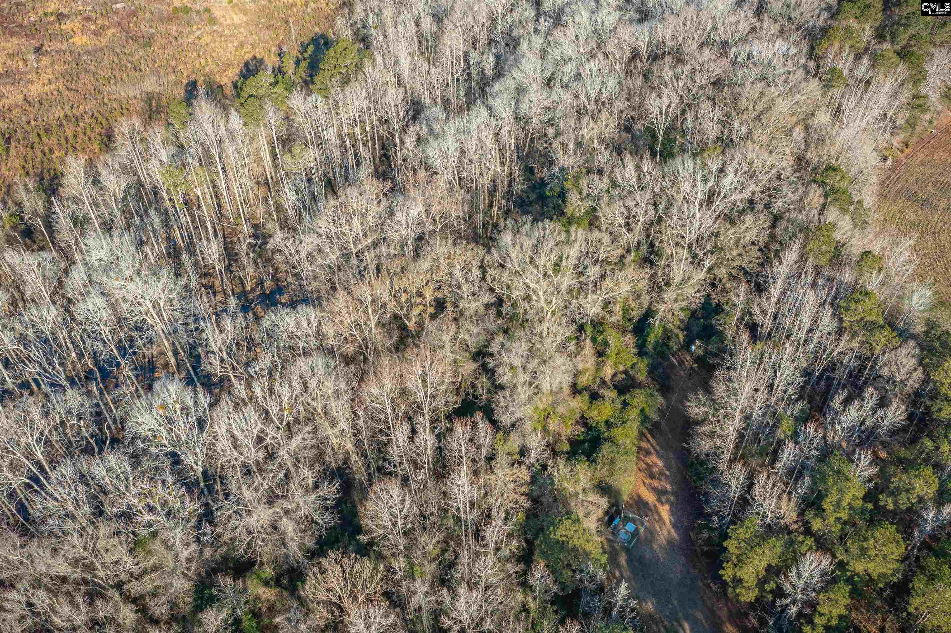 214 Sunny Acres Drive, Eastover, South Carolina image 2