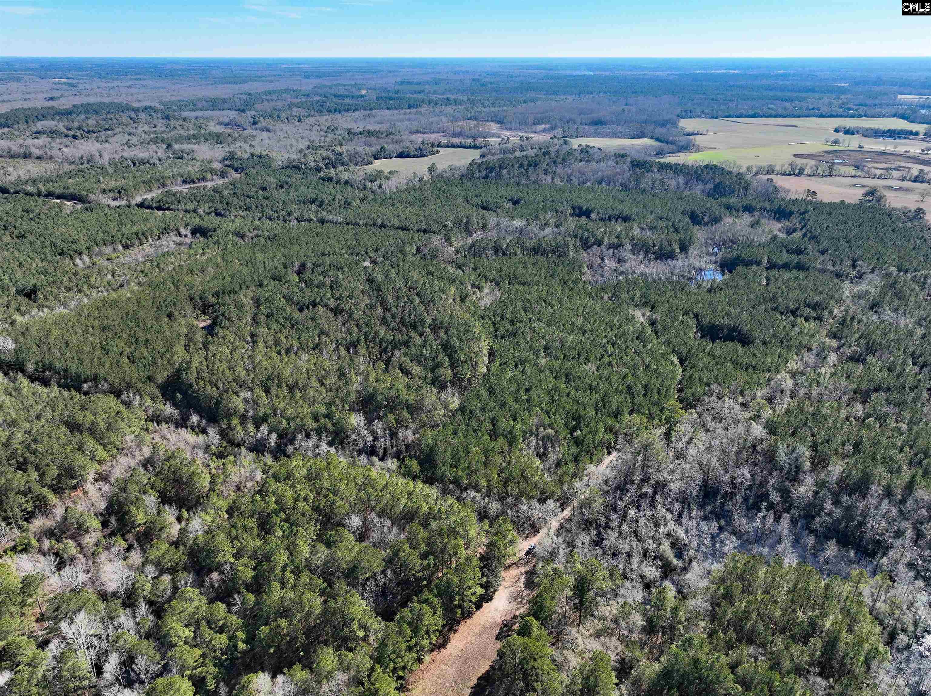 00 Hadwin Road, Bamberg, South Carolina image 1