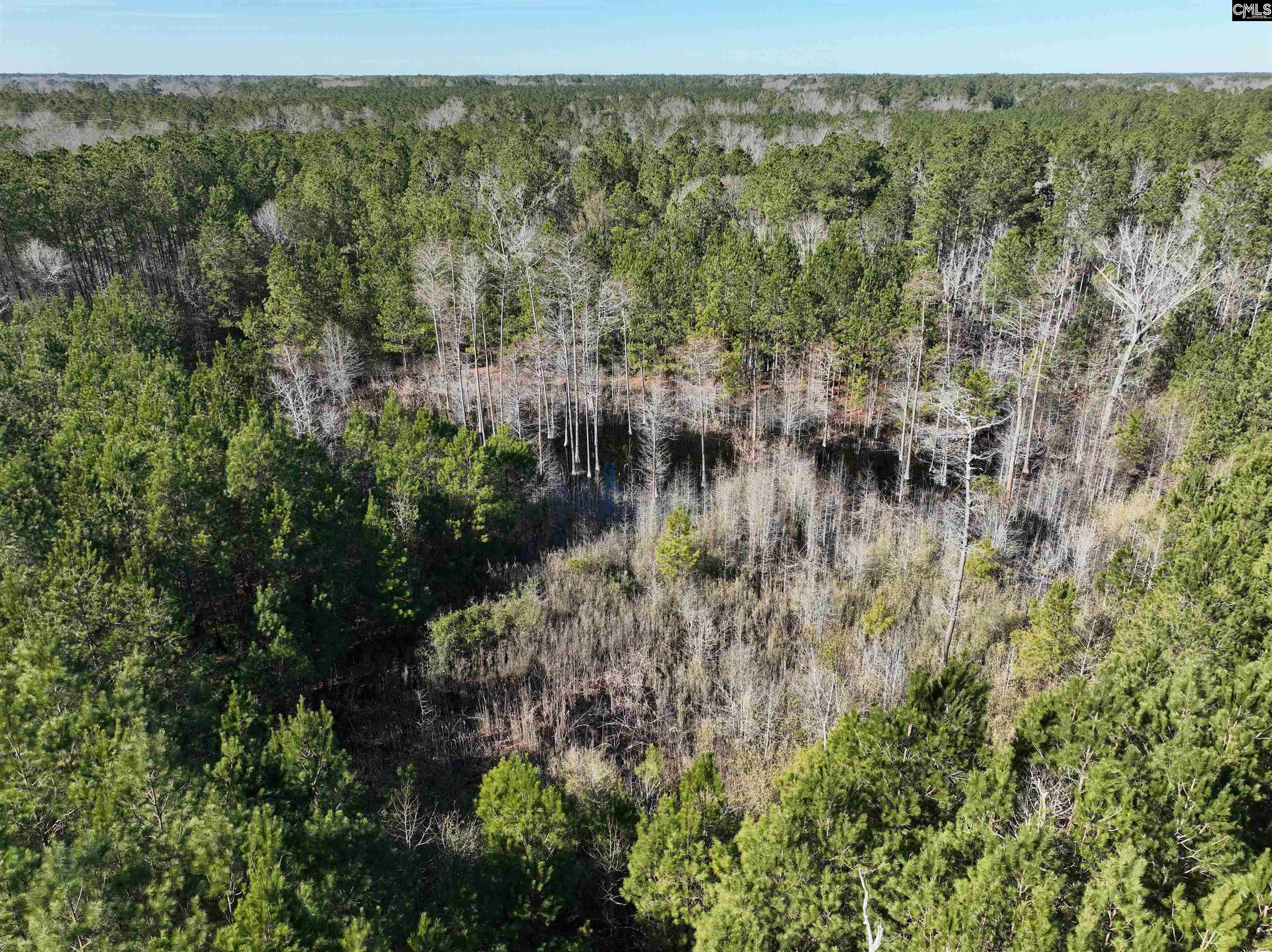 00 Hadwin Road, Bamberg, South Carolina image 2