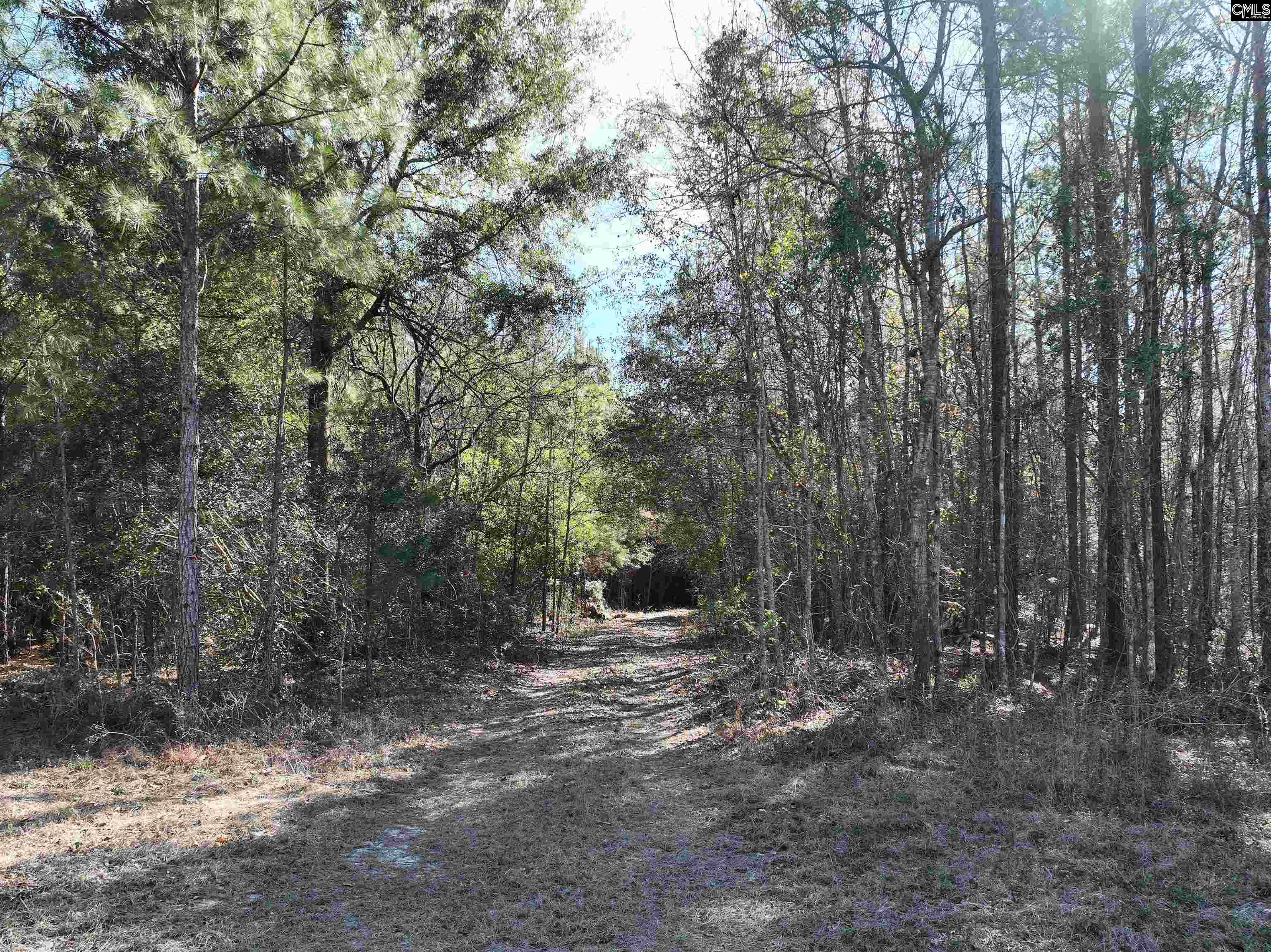 00 Hadwin Road, Bamberg, South Carolina image 12