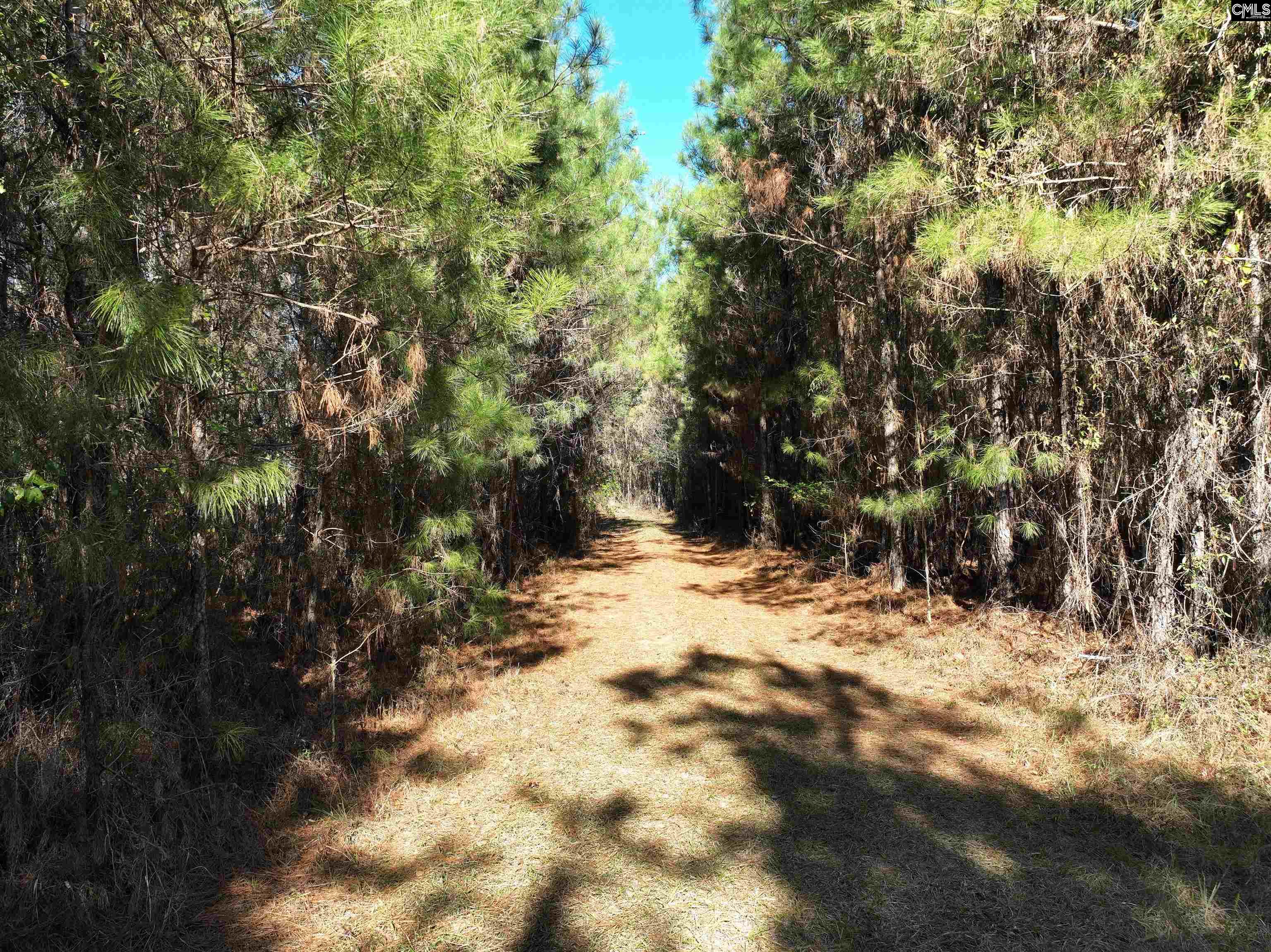 00 Hadwin Road, Bamberg, South Carolina image 13