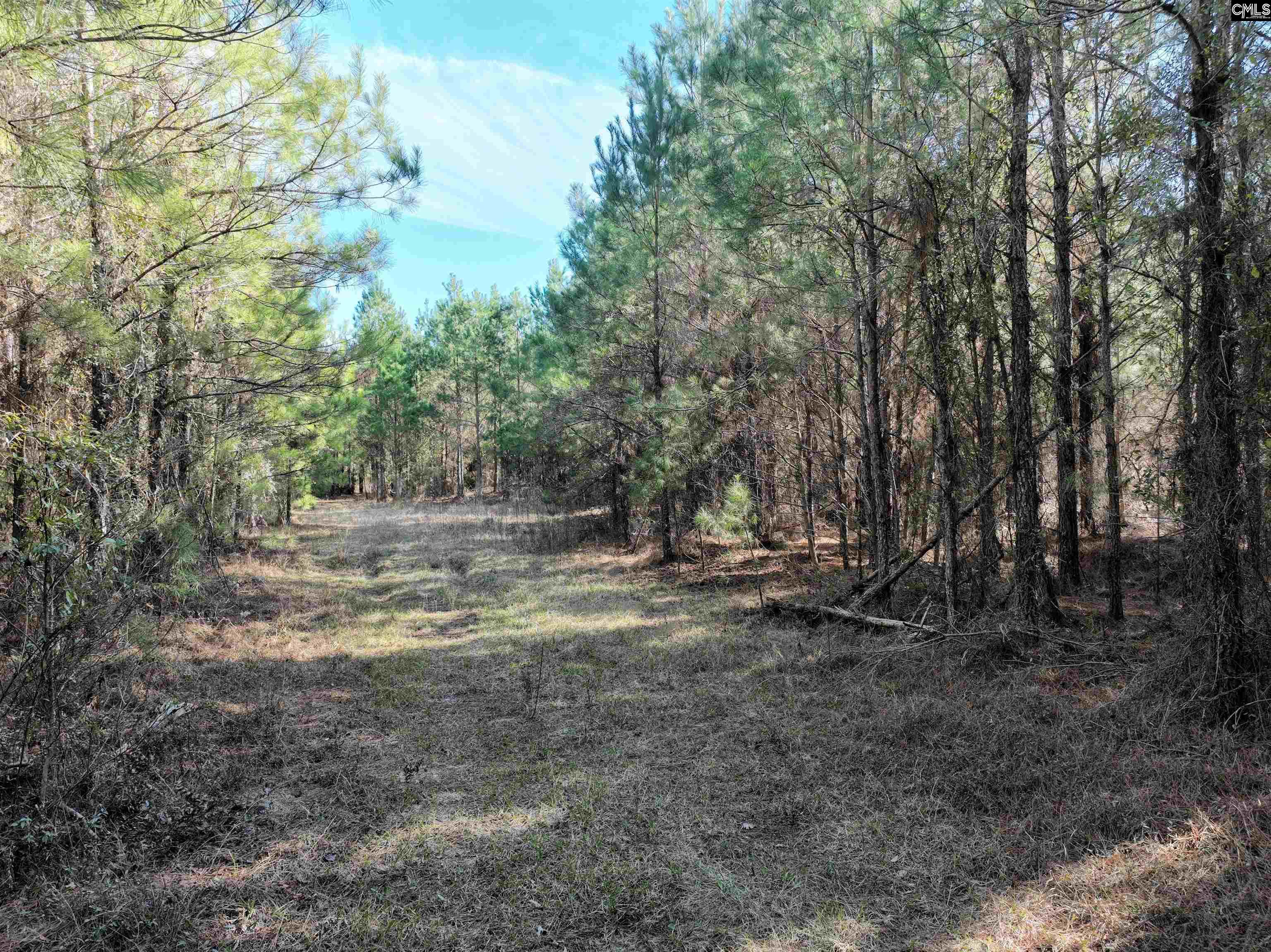 00 Hadwin Road, Bamberg, South Carolina image 15