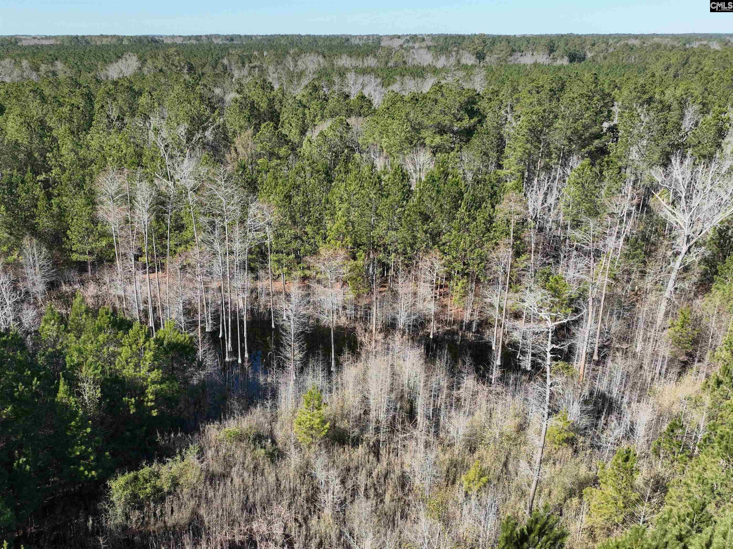 00 Hadwin Road, Bamberg, South Carolina image 18