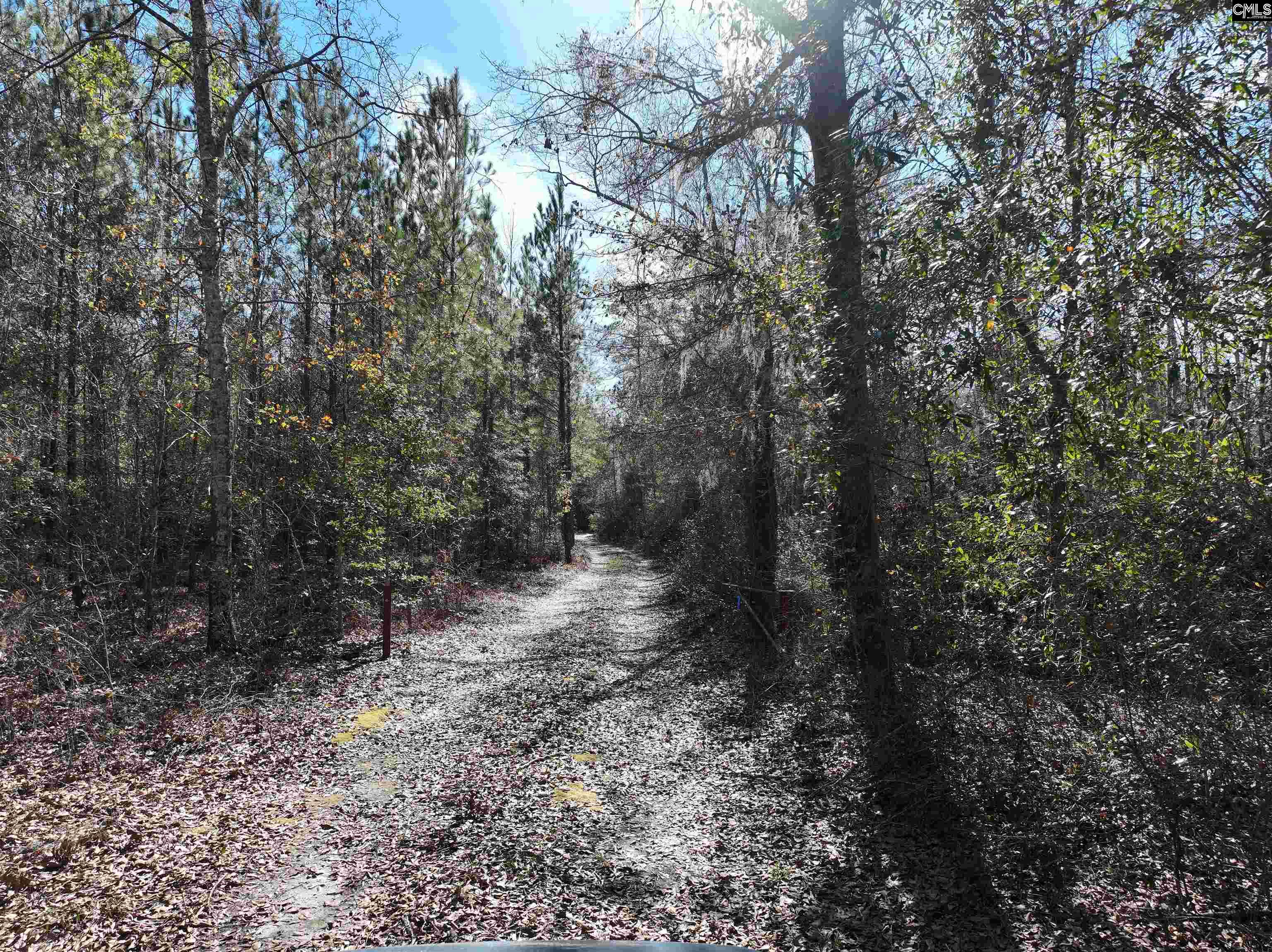 00 Hadwin Road, Bamberg, South Carolina image 3