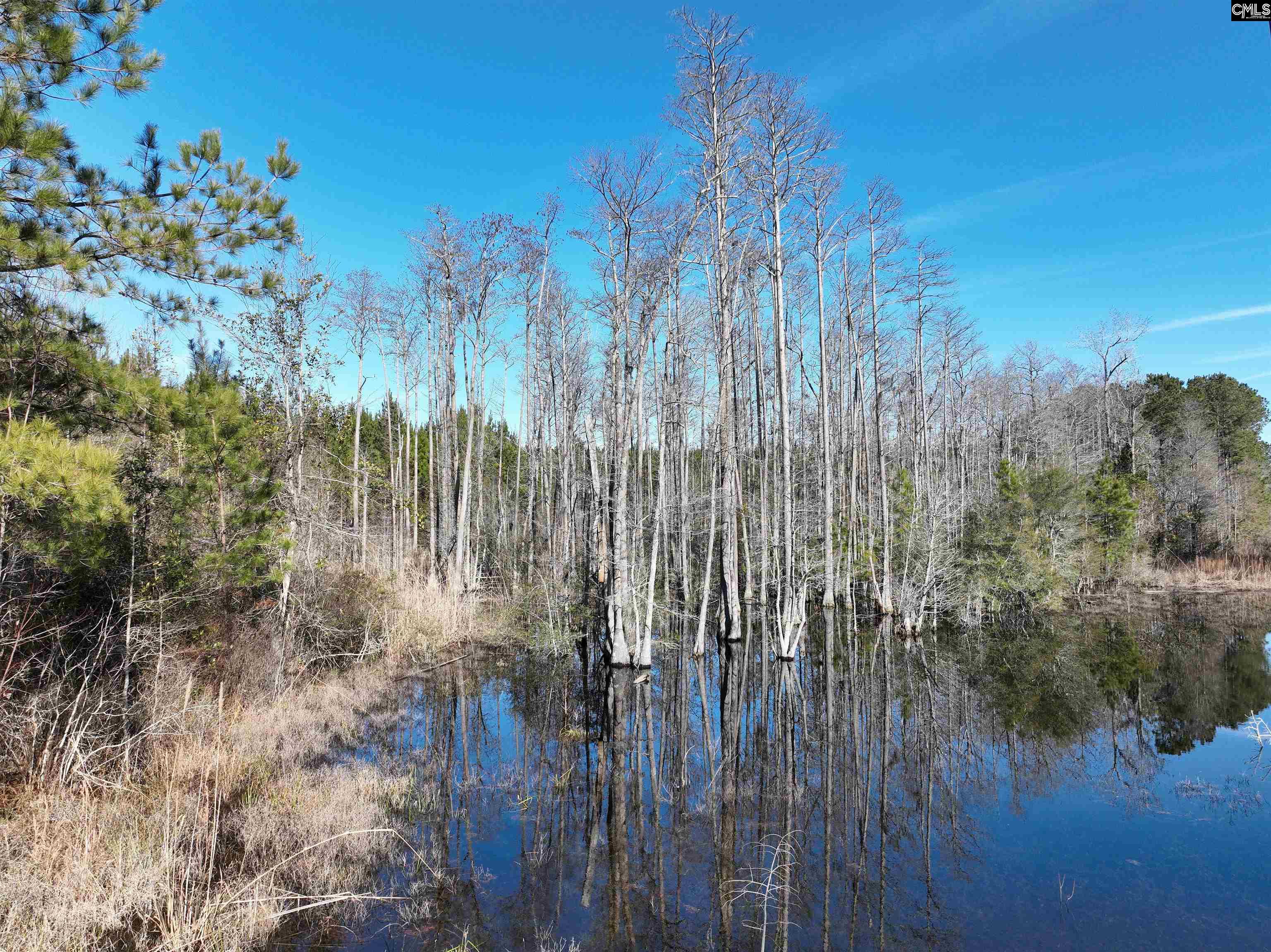 00 Hadwin Road, Bamberg, South Carolina image 4
