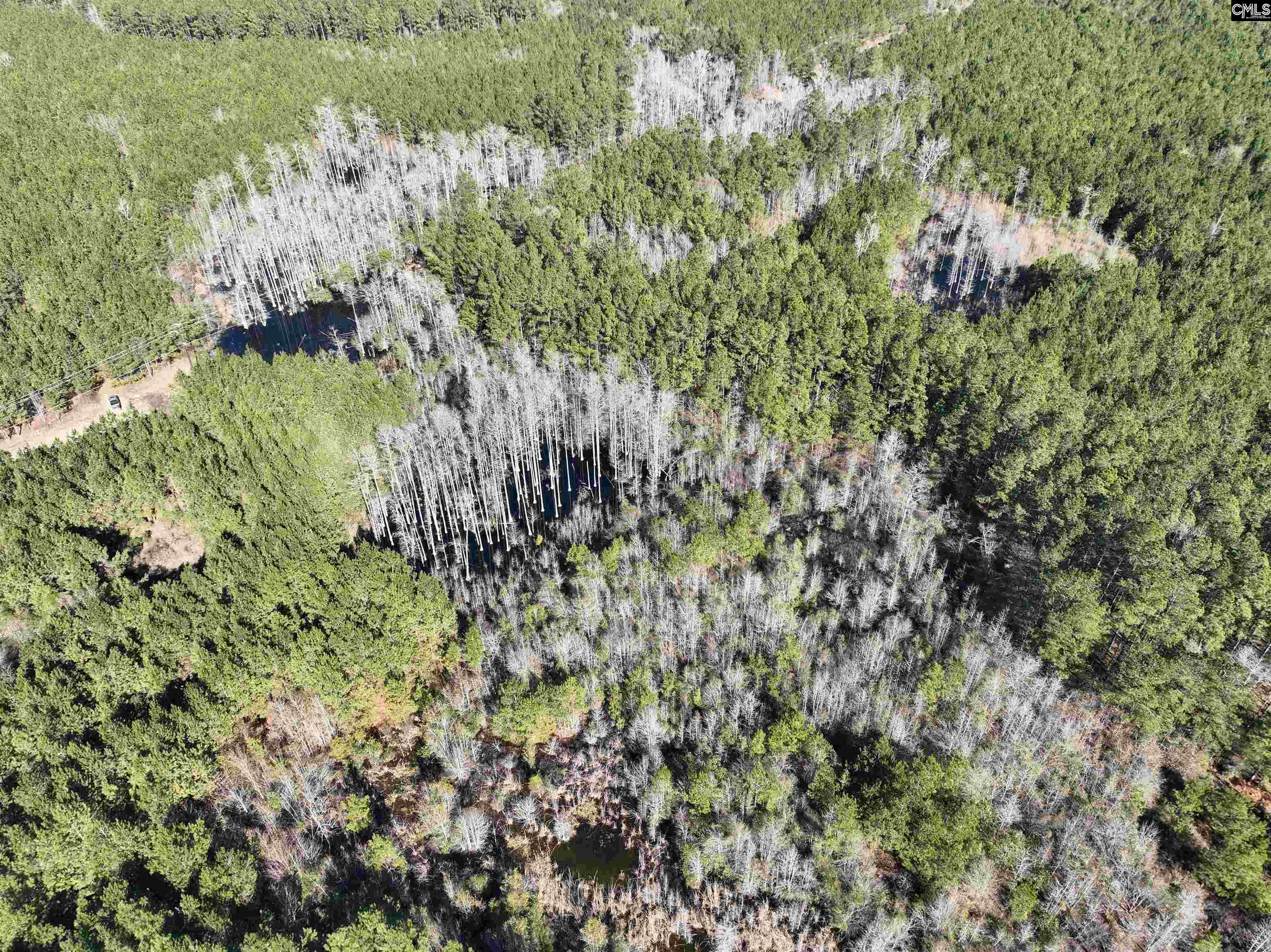 00 Hadwin Road, Bamberg, South Carolina image 6