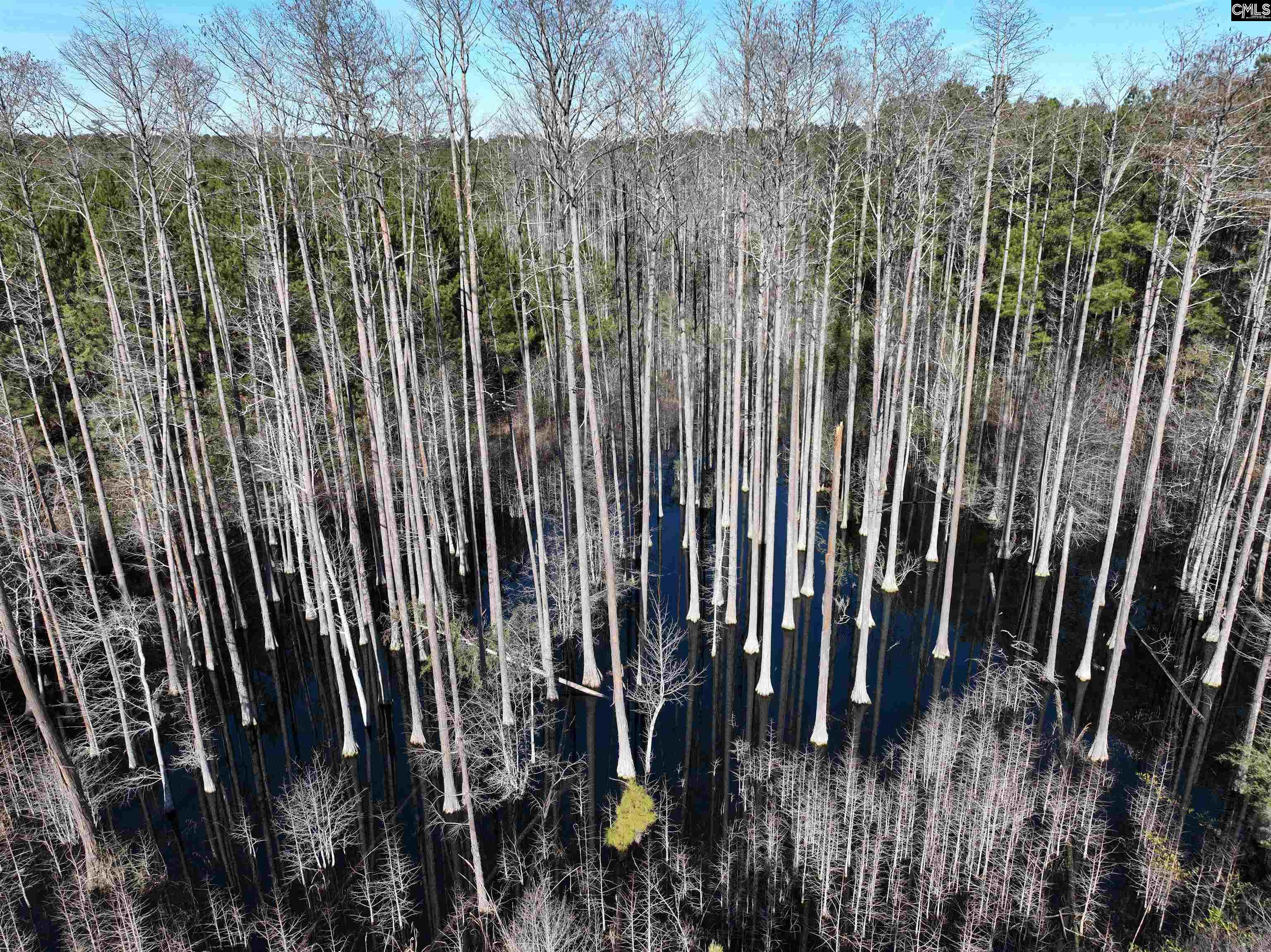 00 Hadwin Road, Bamberg, South Carolina image 7