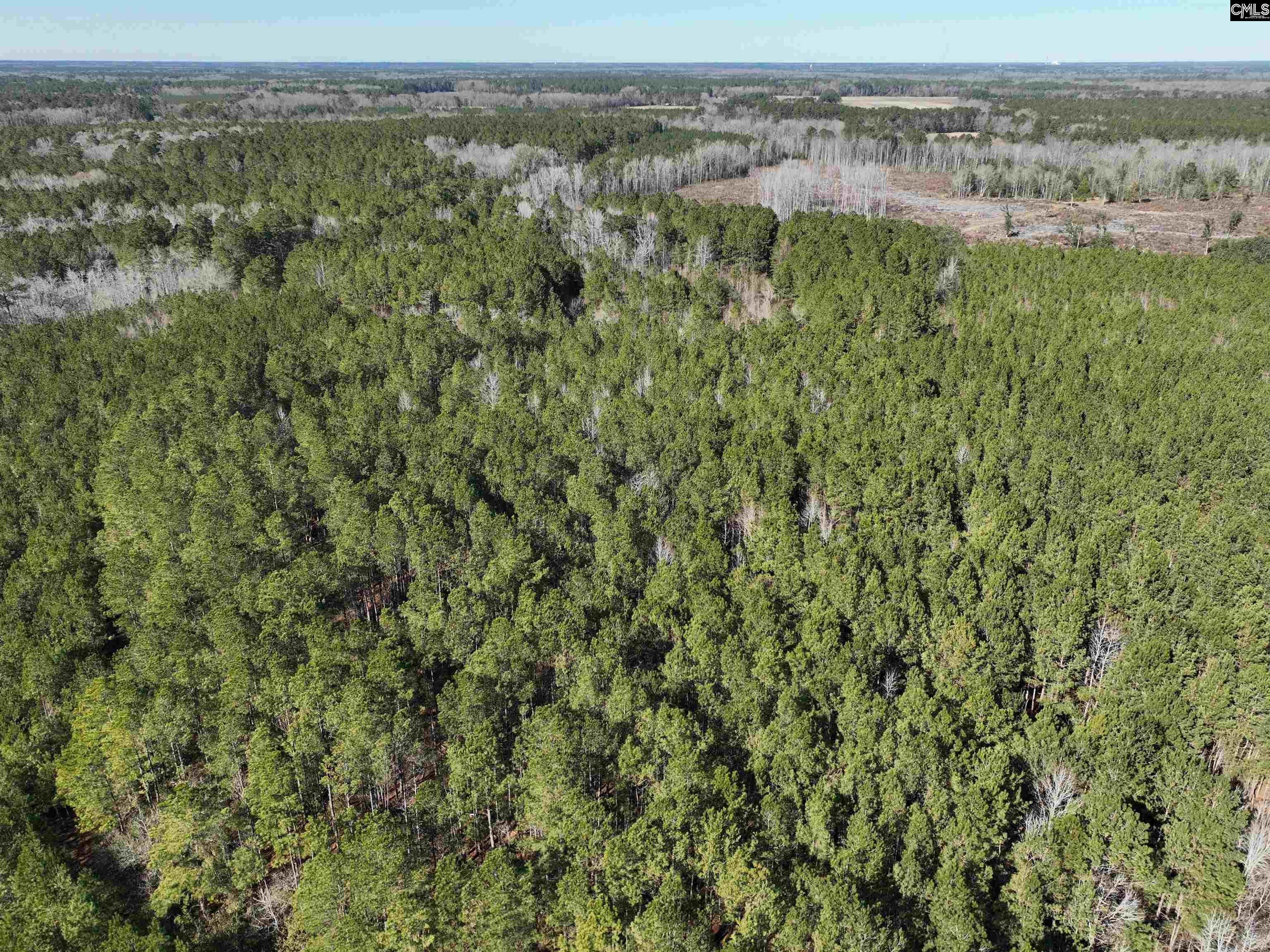00 Hadwin Road, Bamberg, South Carolina image 9
