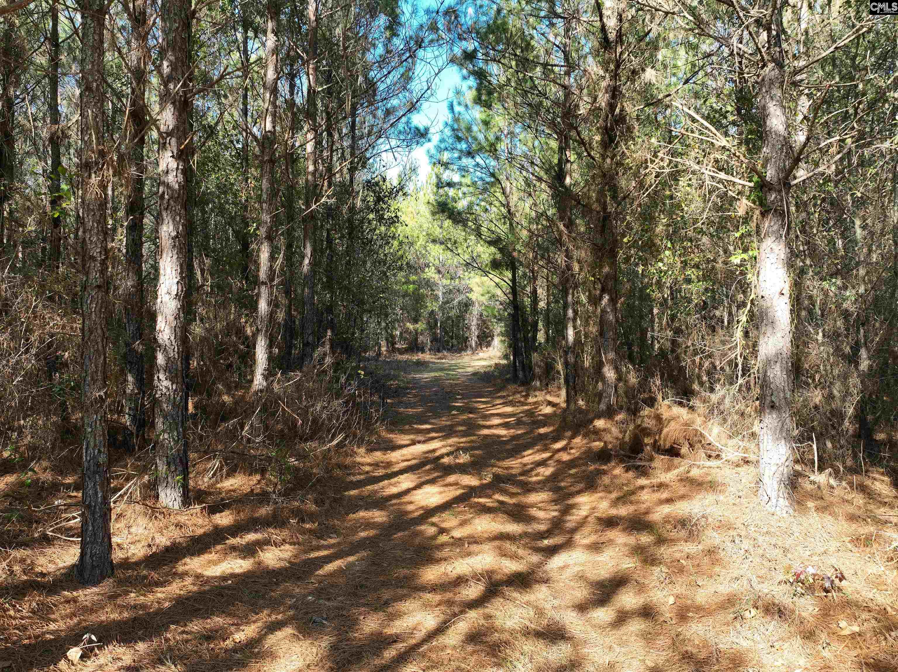 00 Hadwin Road, Bamberg, South Carolina image 10