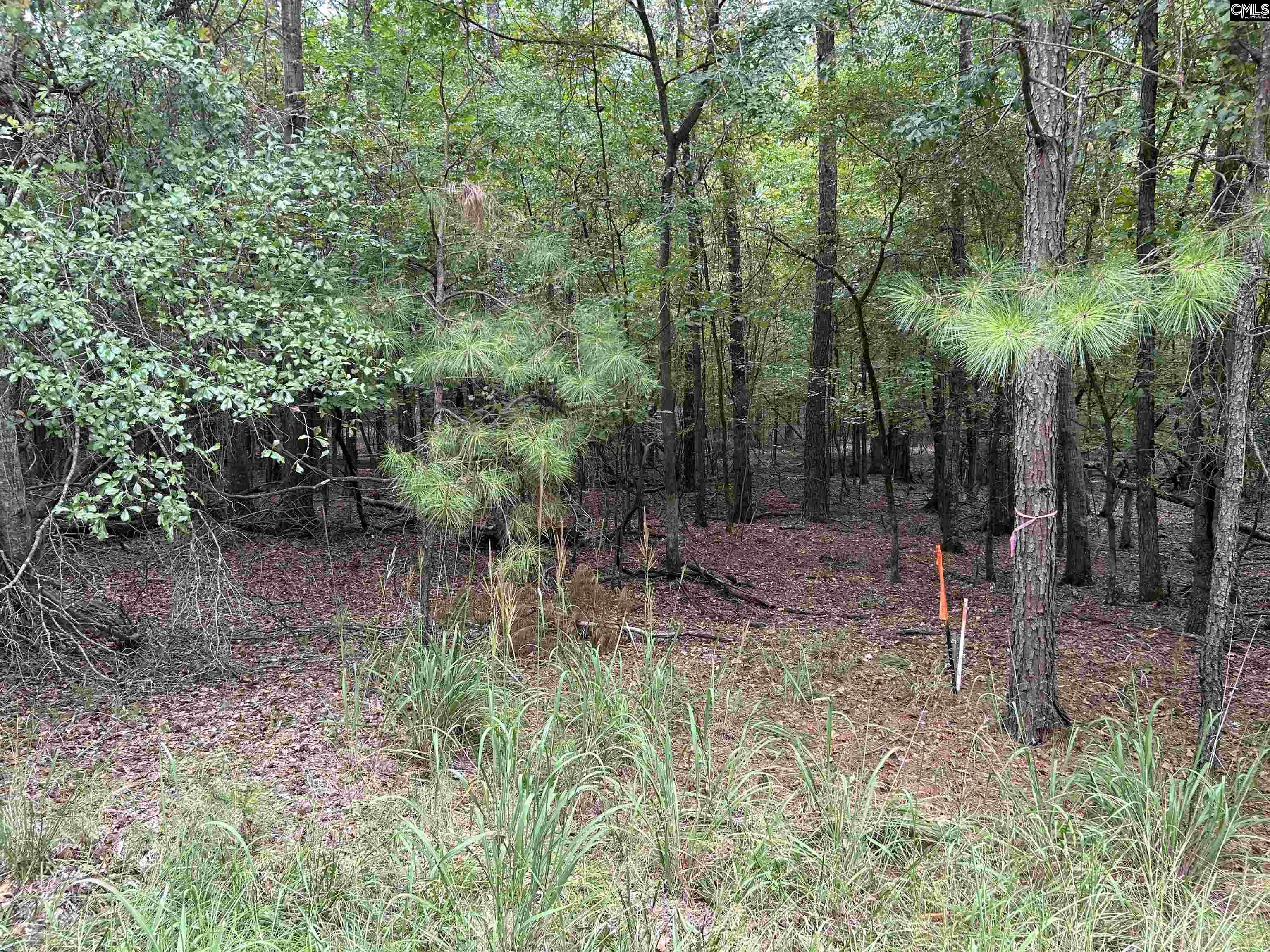 Little Saluda Lane UNIT Lot 83 Batesburg, SC 29006